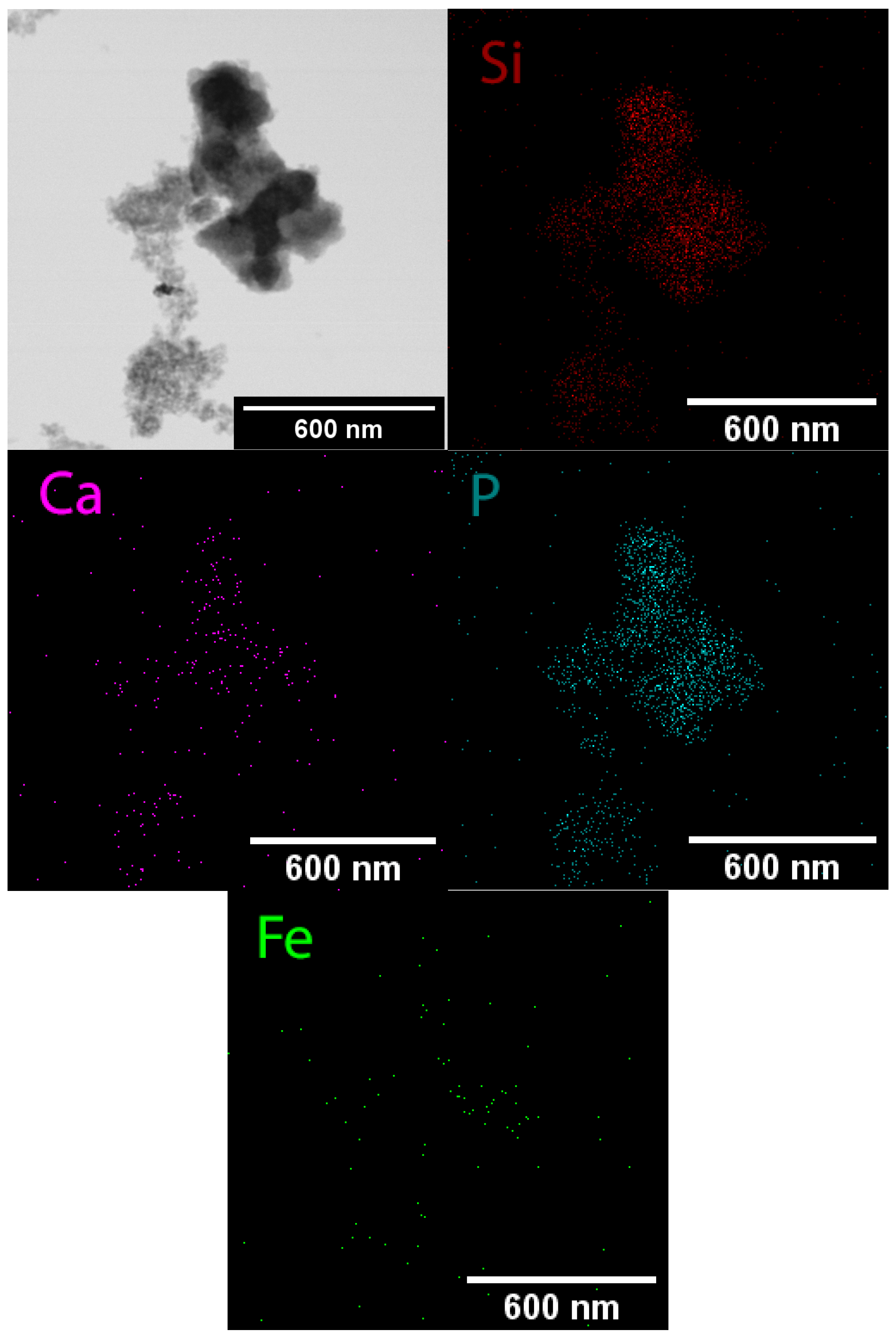 Ceramics 08 00061 g005
