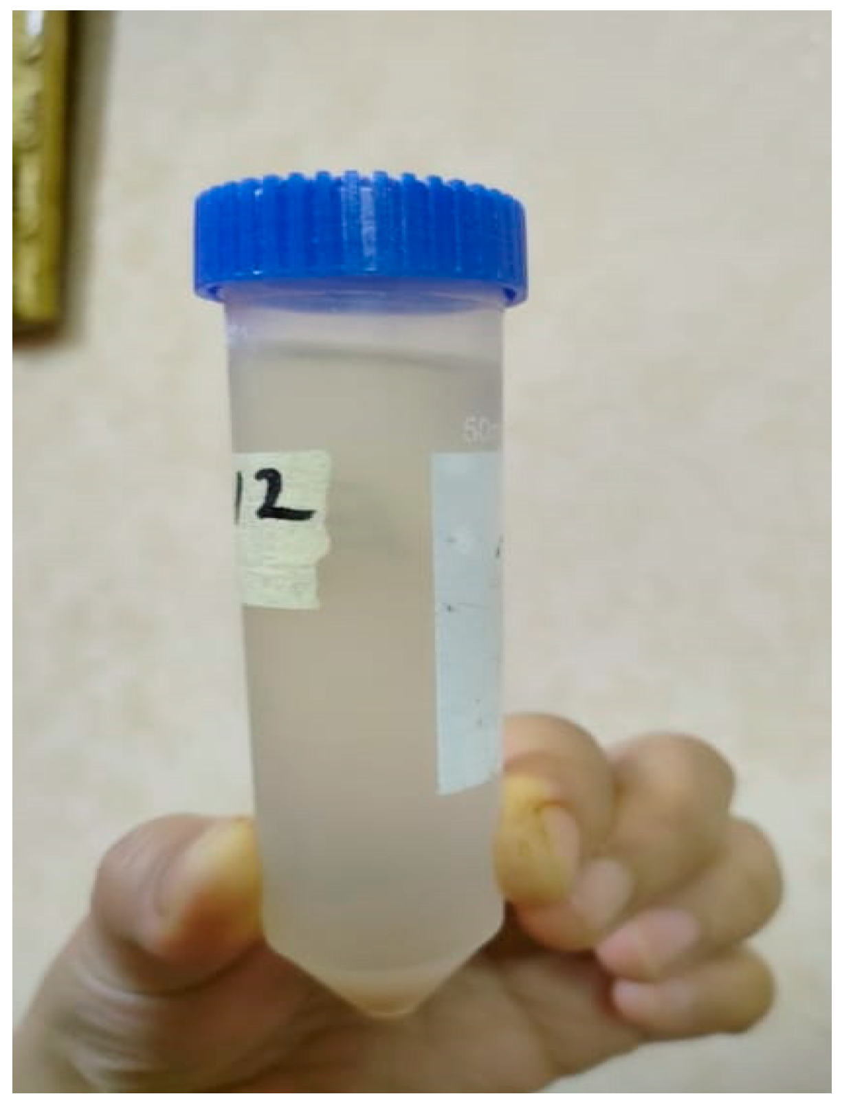 Ceramics 08 00072 g002