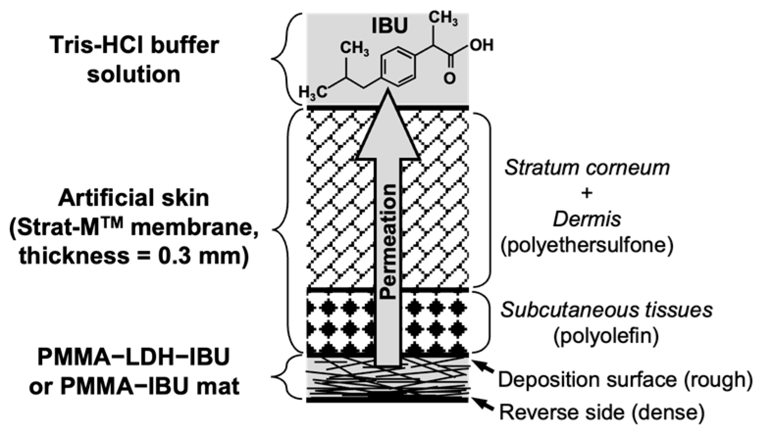 Ceramics 08 00124 g003