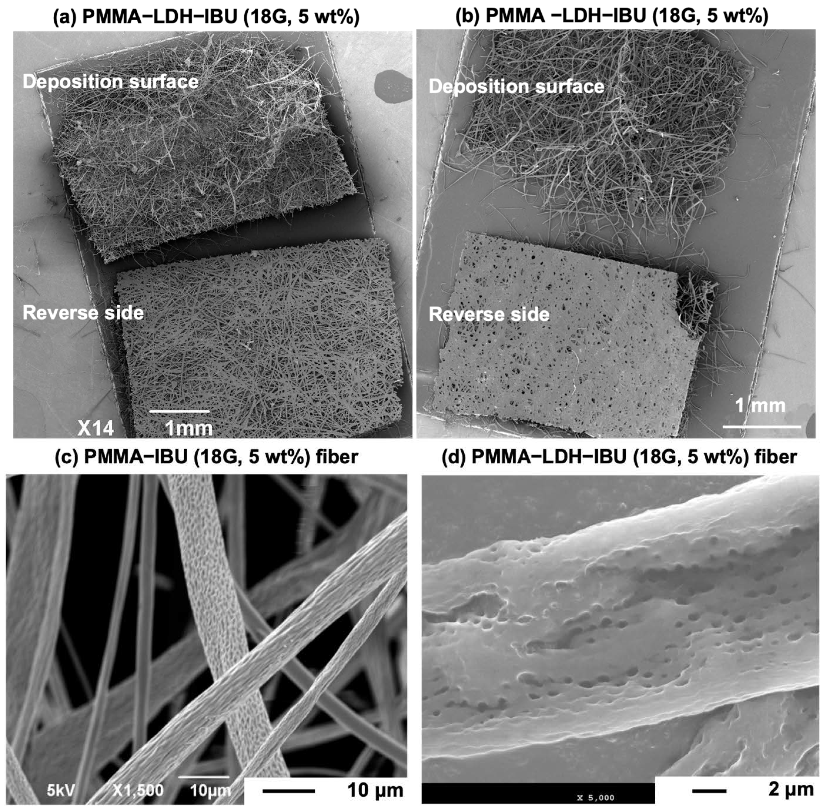 Ceramics 08 00124 g006