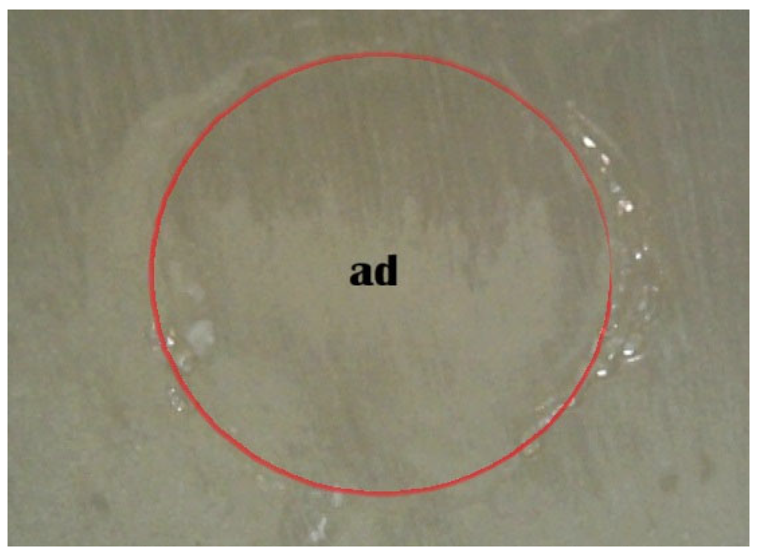 Ceramics 09 00028 g004