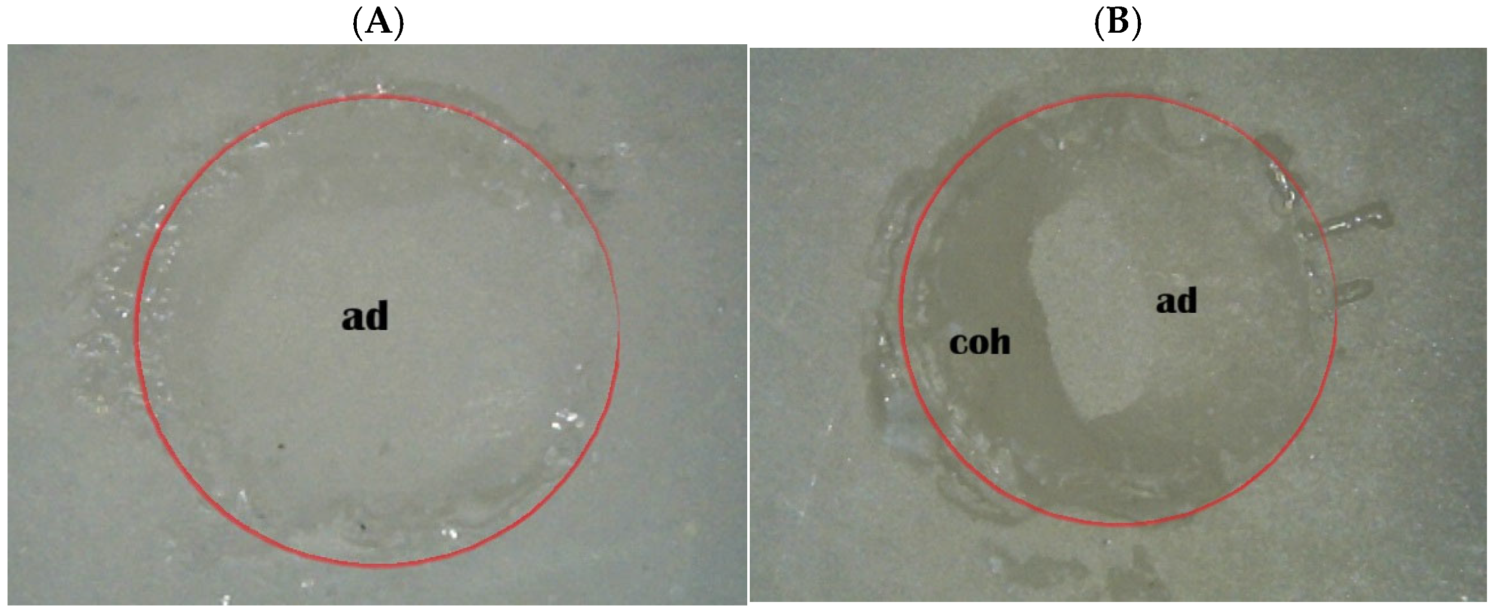 Ceramics 09 00028 g005