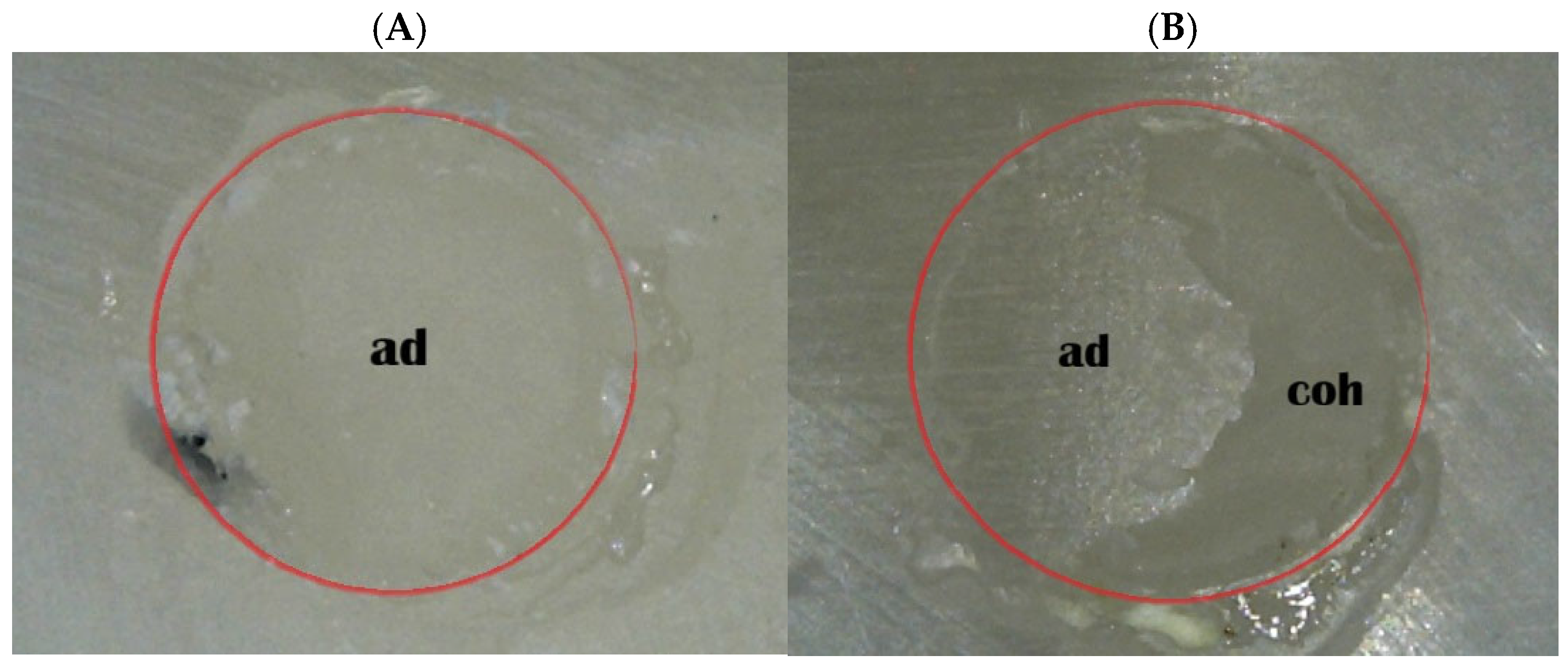 Ceramics 09 00028 g006