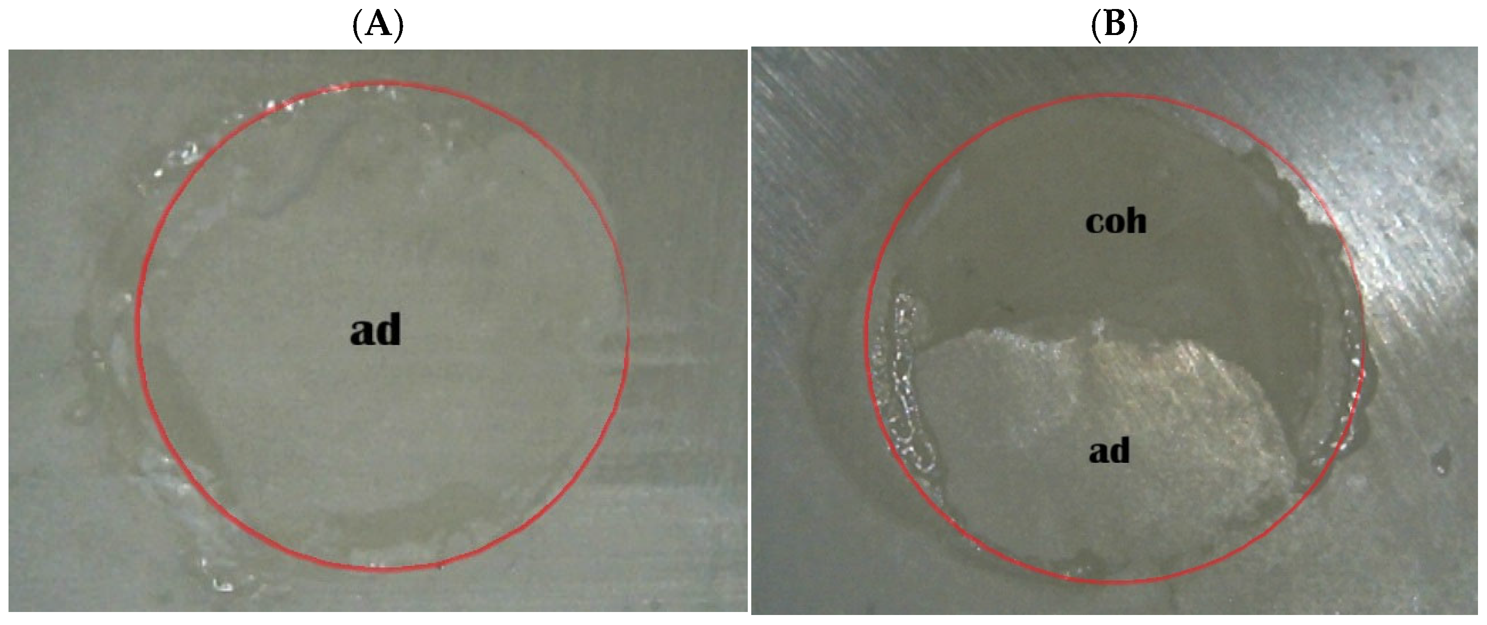 Ceramics 09 00028 g007