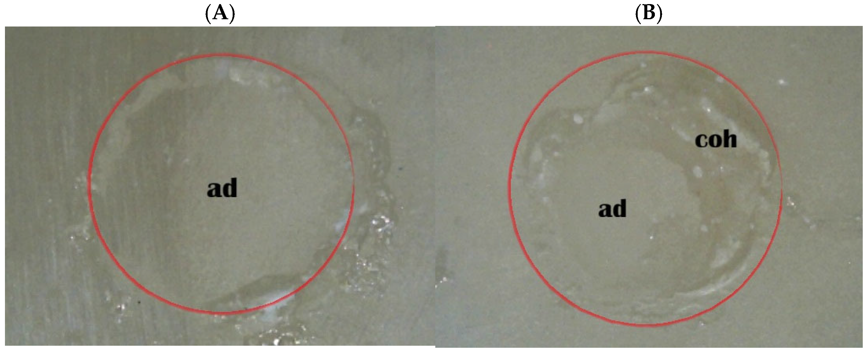 Ceramics 09 00028 g008