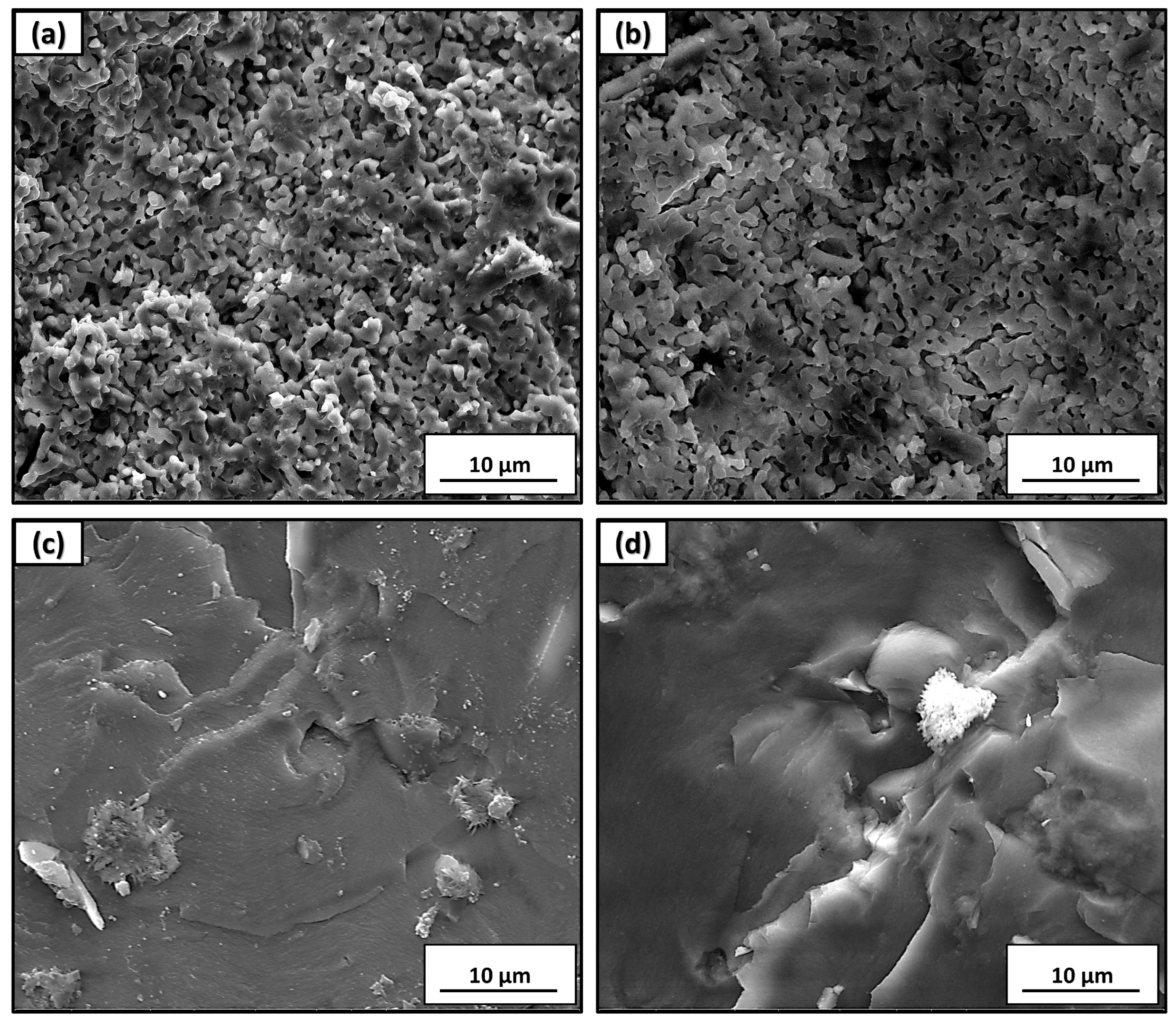 Ceramics 09 00034 g003