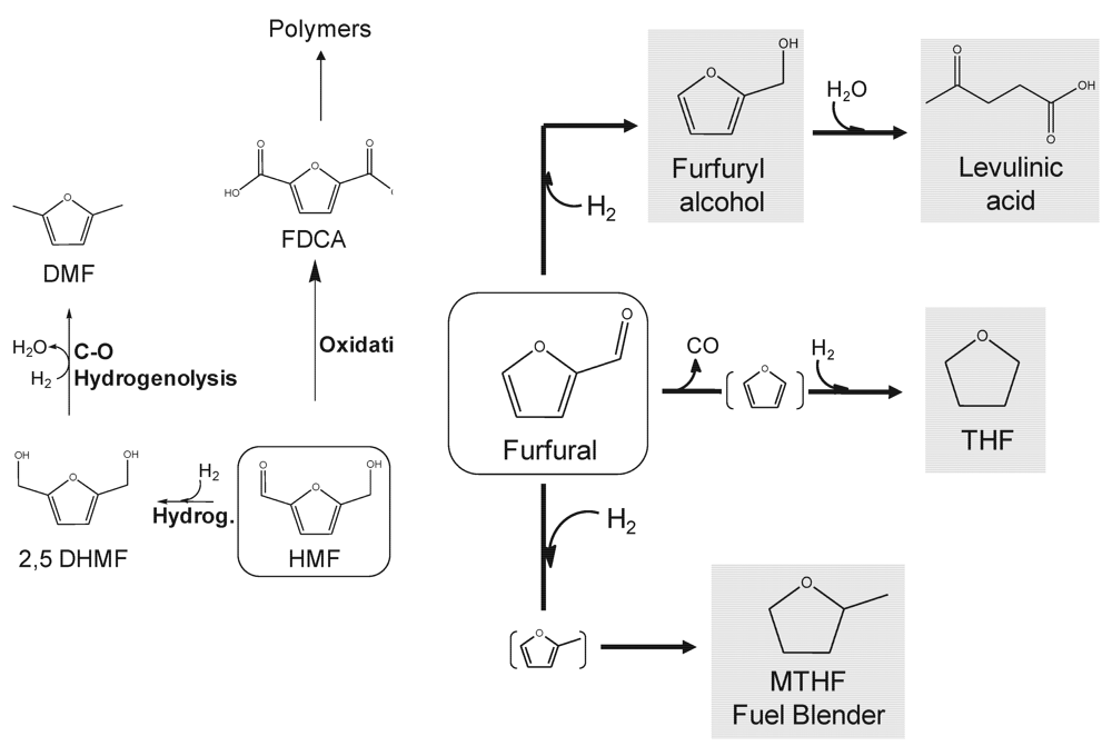 Challenges 03 00114 g002 1024