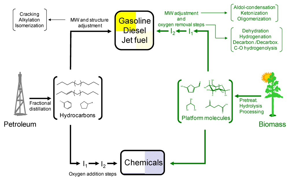 Challenges 03 00114 g006 1024