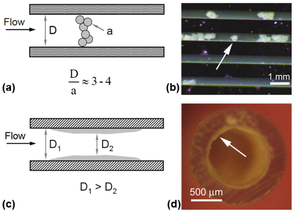 Challenges 03 00194 g002 1024