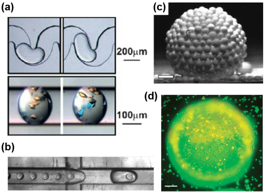 Challenges 03 00194 g003 1024