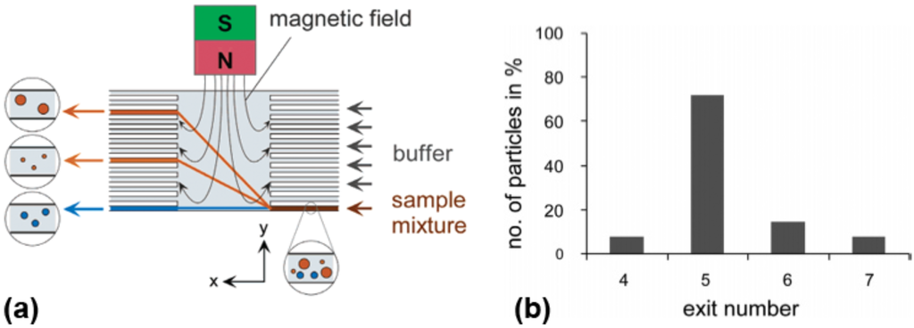 Challenges 03 00194 g005 1024