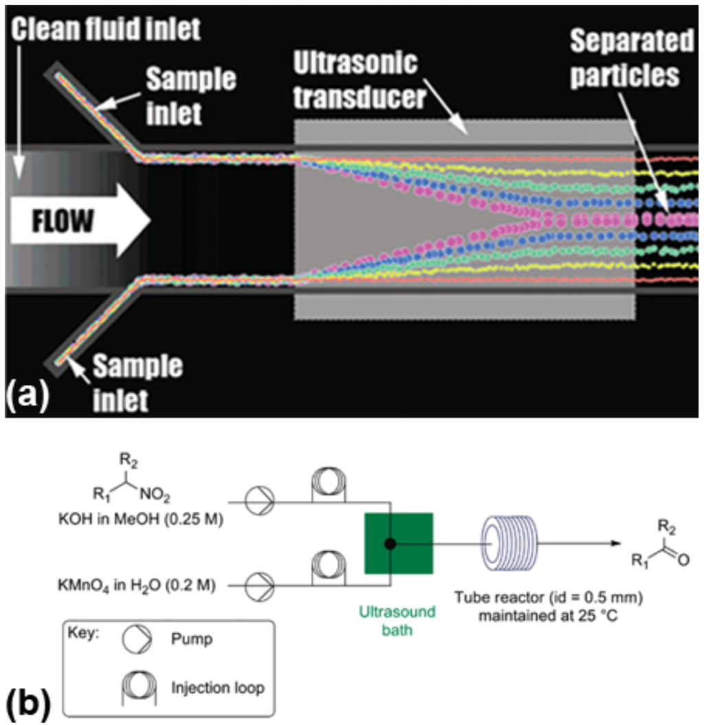 Challenges 03 00194 g006 1024