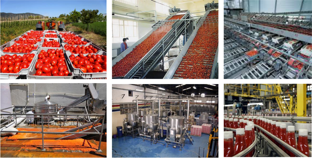 Challenges 05 00374 g001 1024