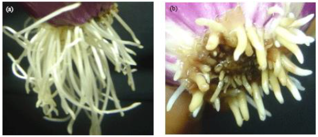 Challenges 06 00173 g002 1024