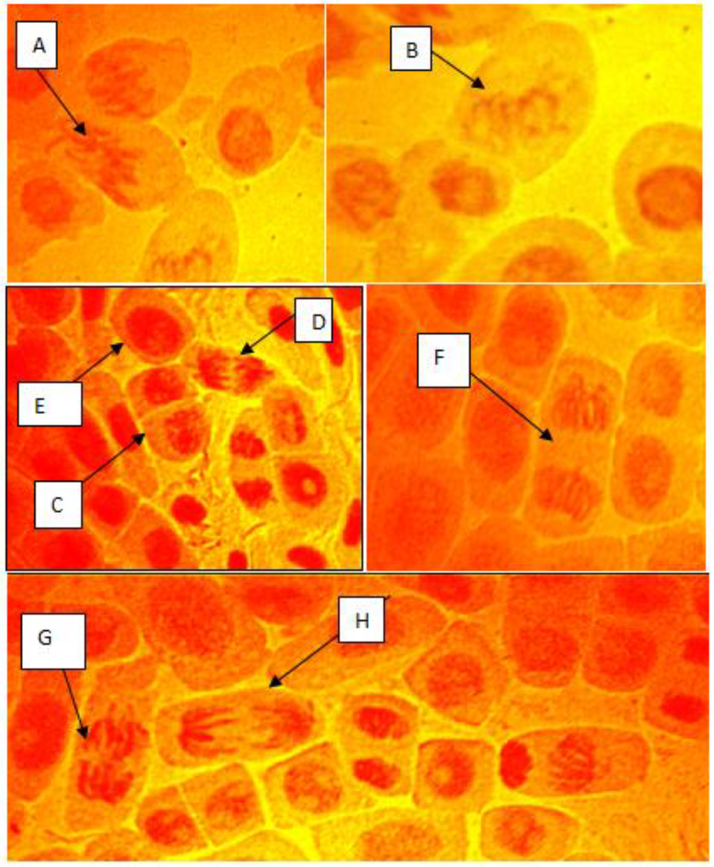 Challenges 06 00173 g004 1024