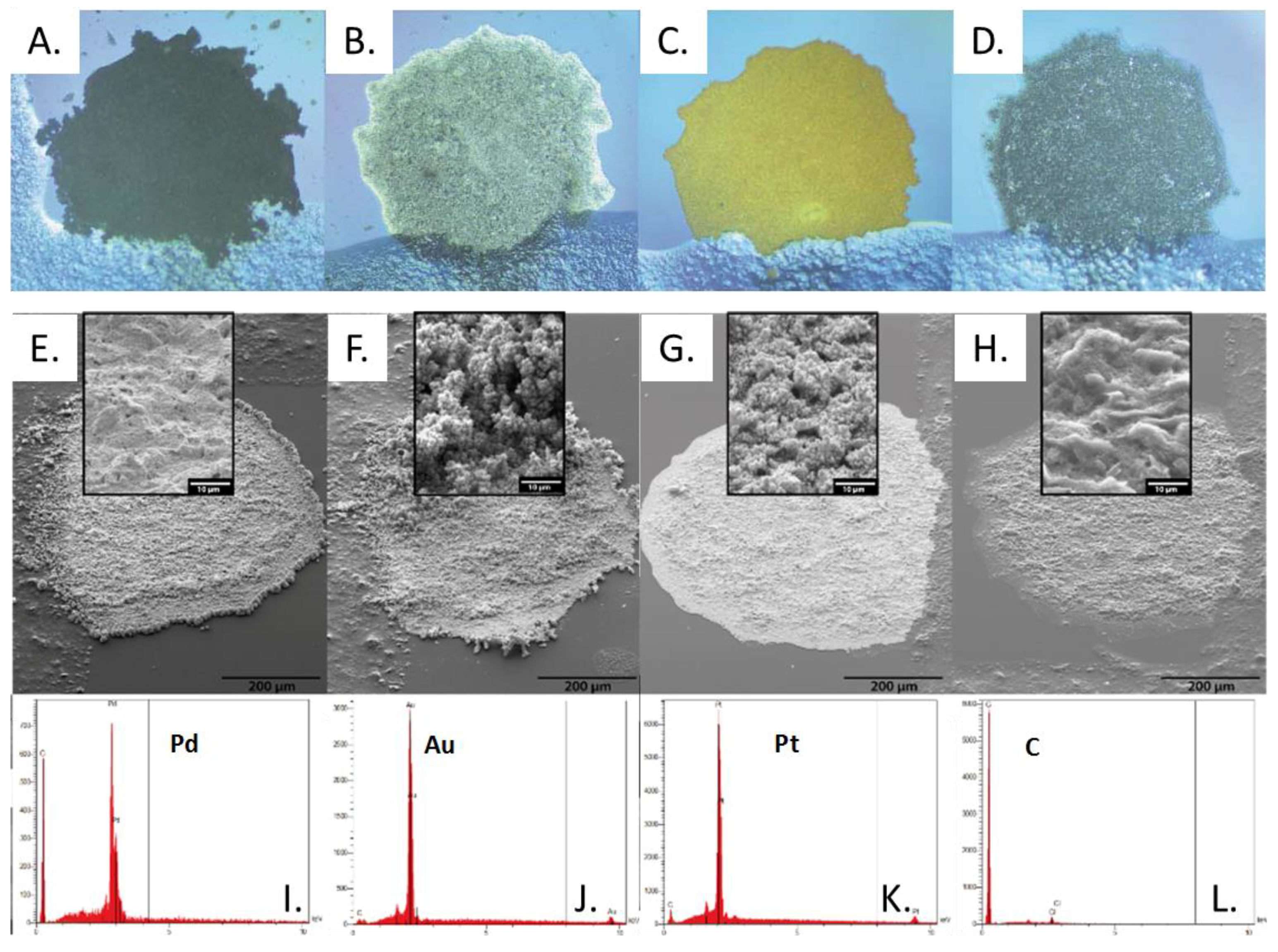 Challenges 08 00010 g003