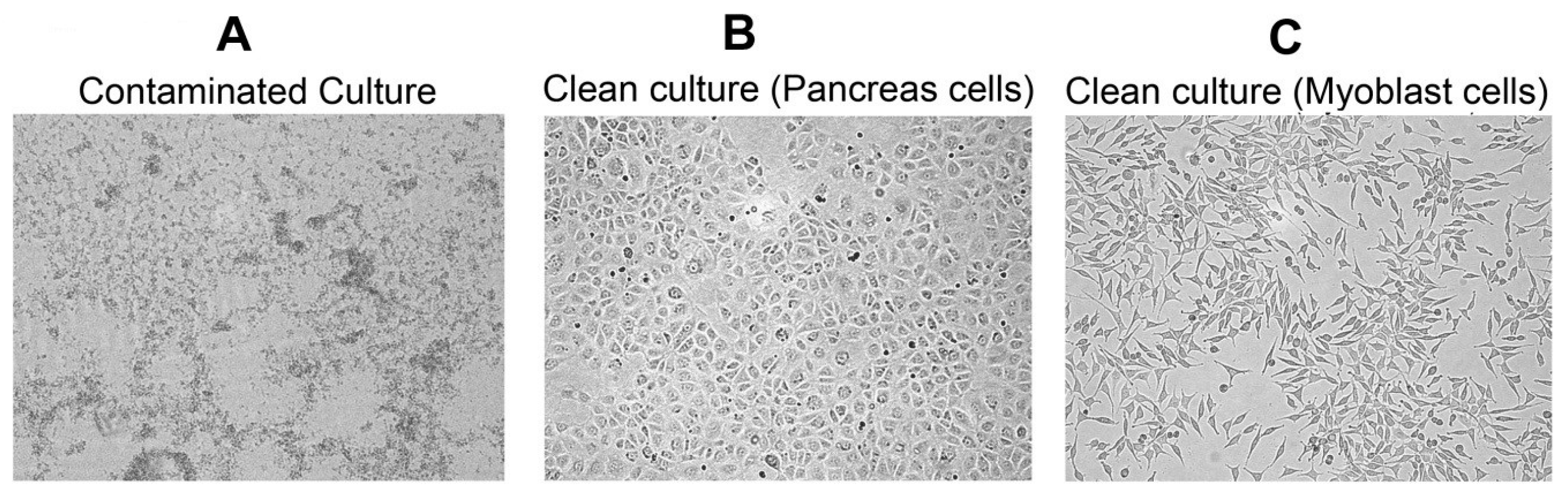 Challenges 08 00026 g001