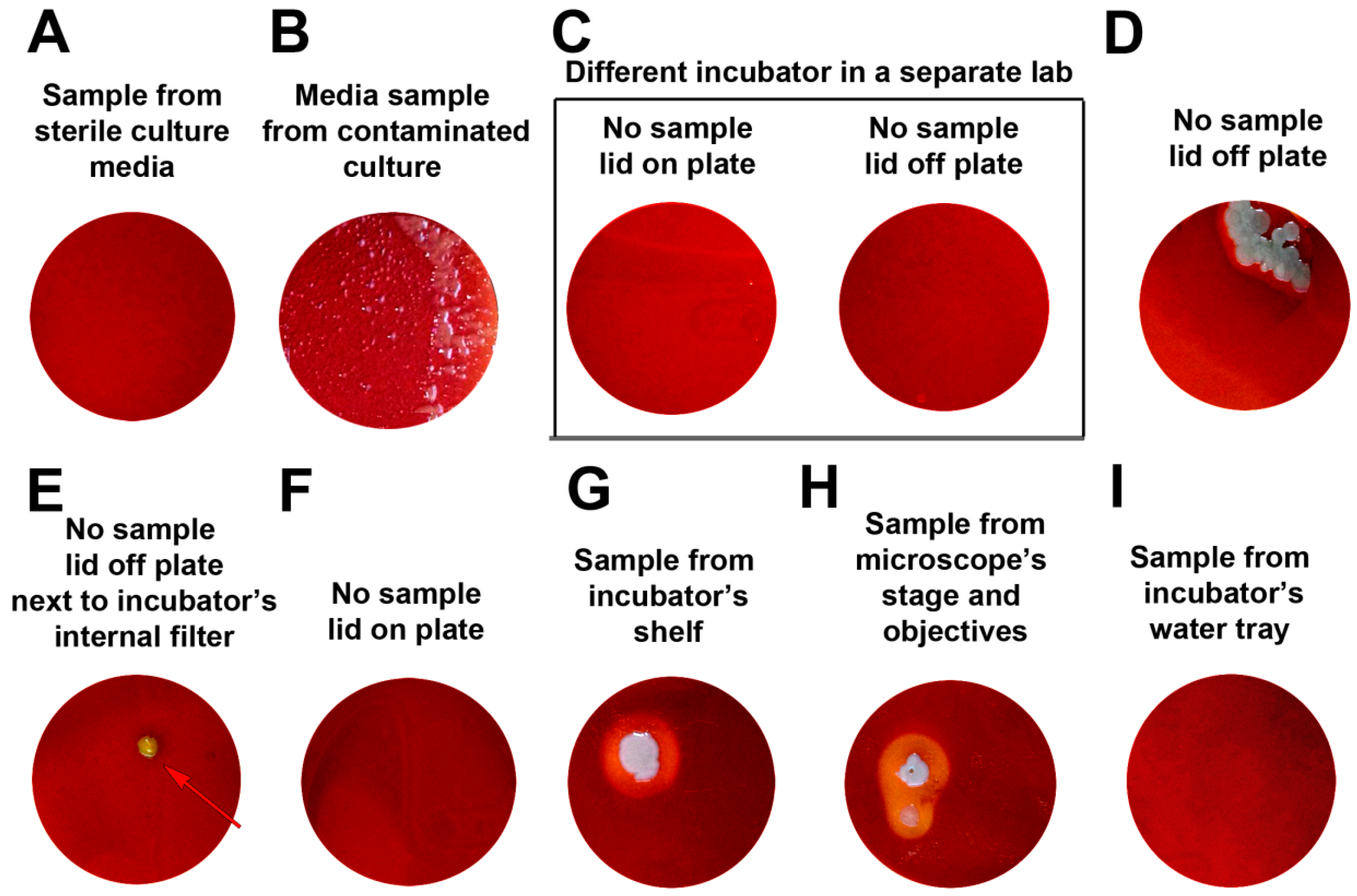 Challenges 08 00026 g002