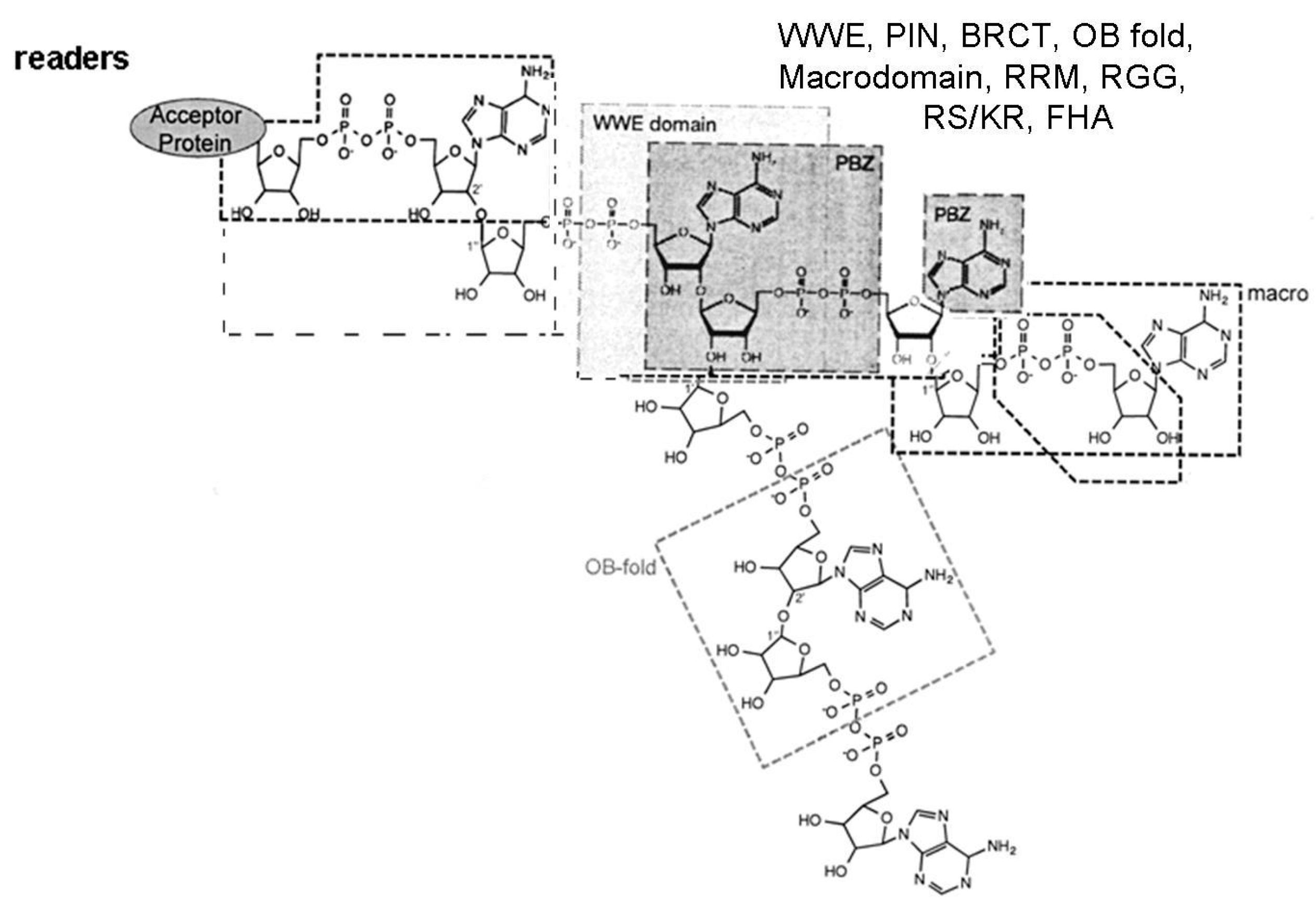 Challenges 09 00003 g001