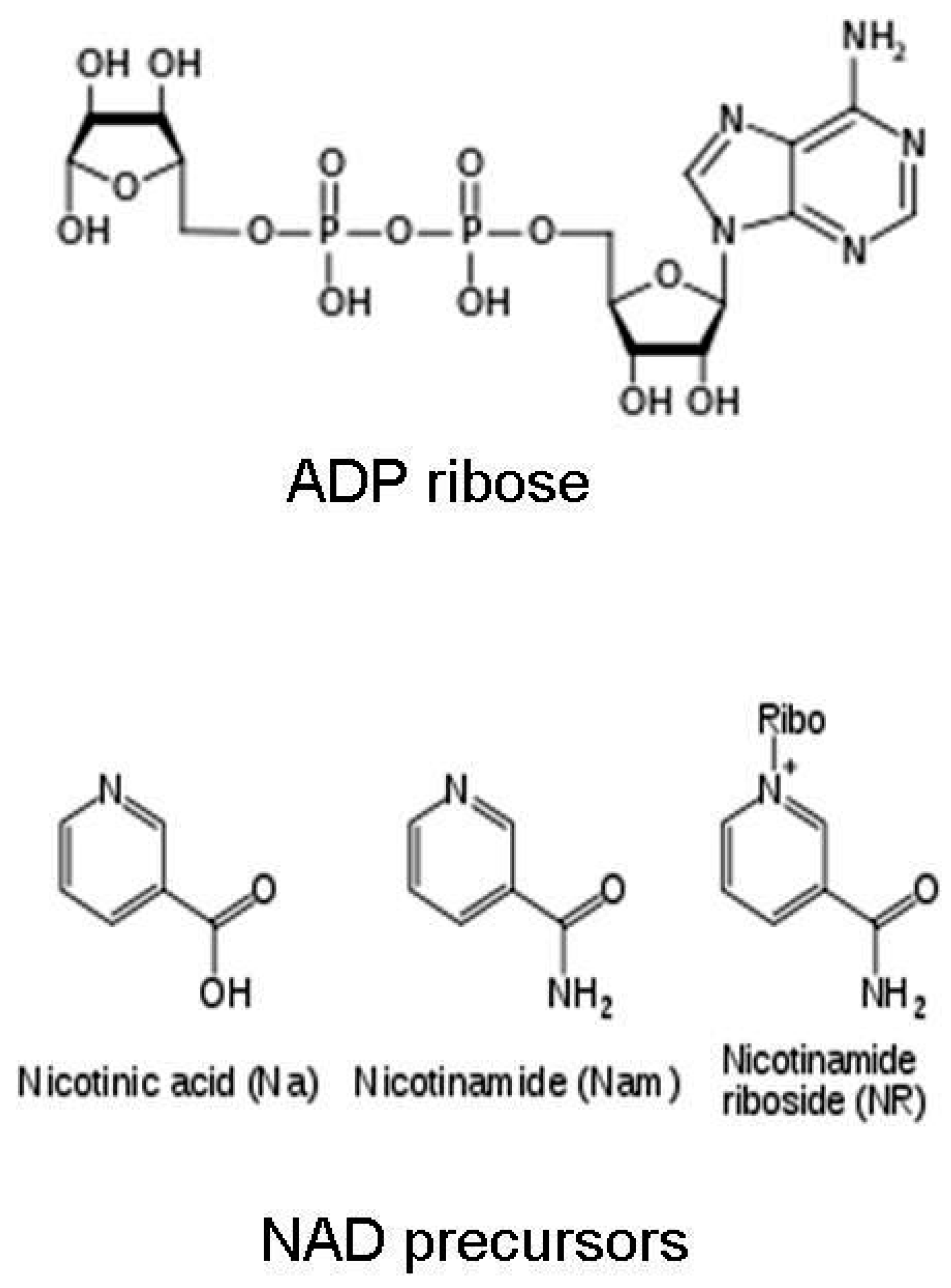 Challenges 09 00003 g002