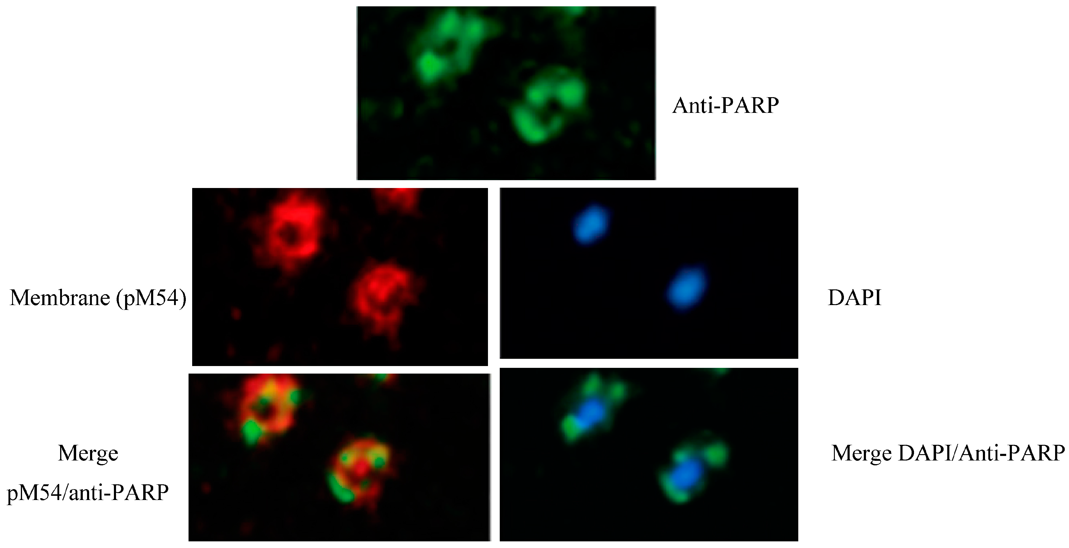 Challenges 09 00005 g001