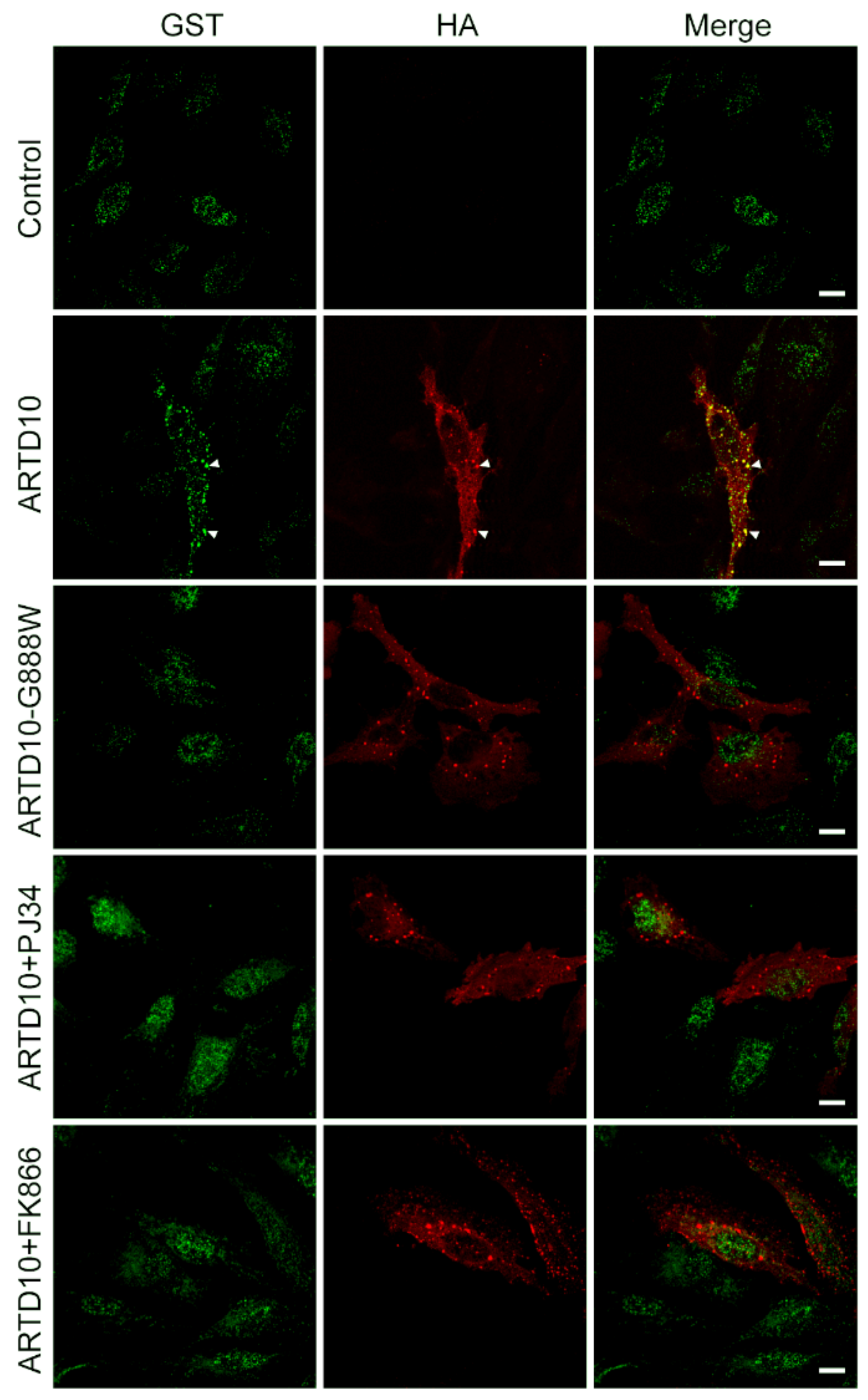 Challenges 09 00022 g003