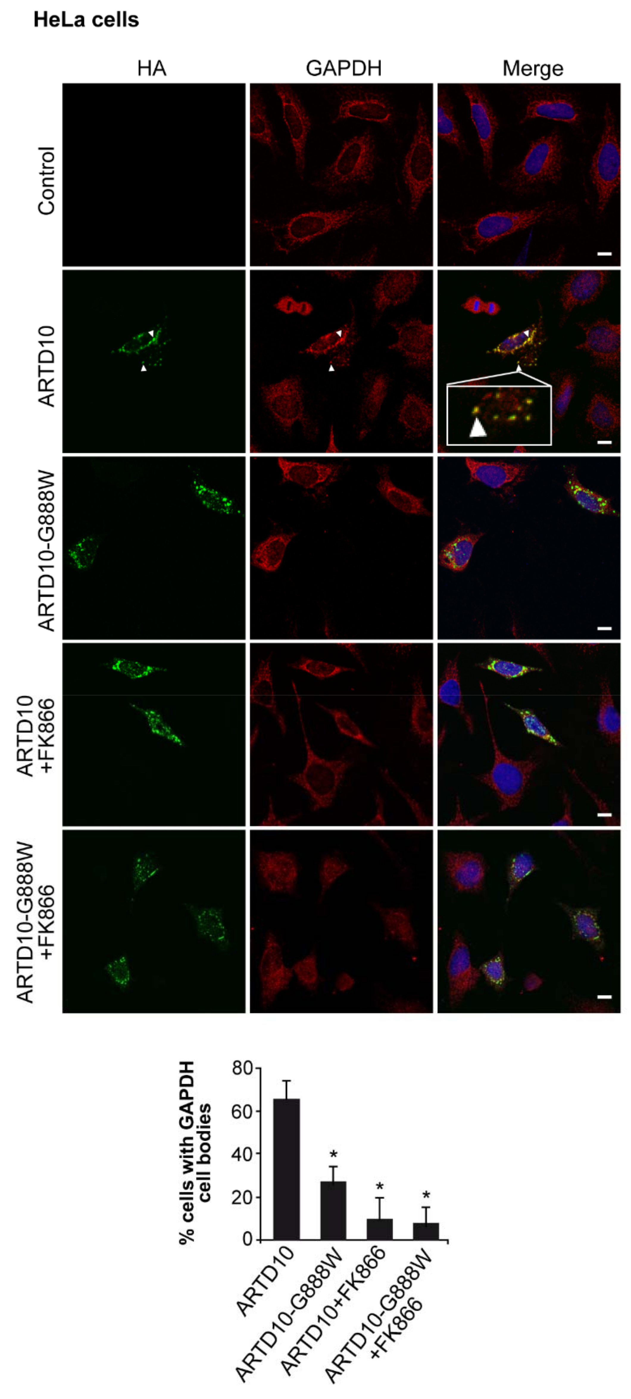 Challenges 09 00022 g004