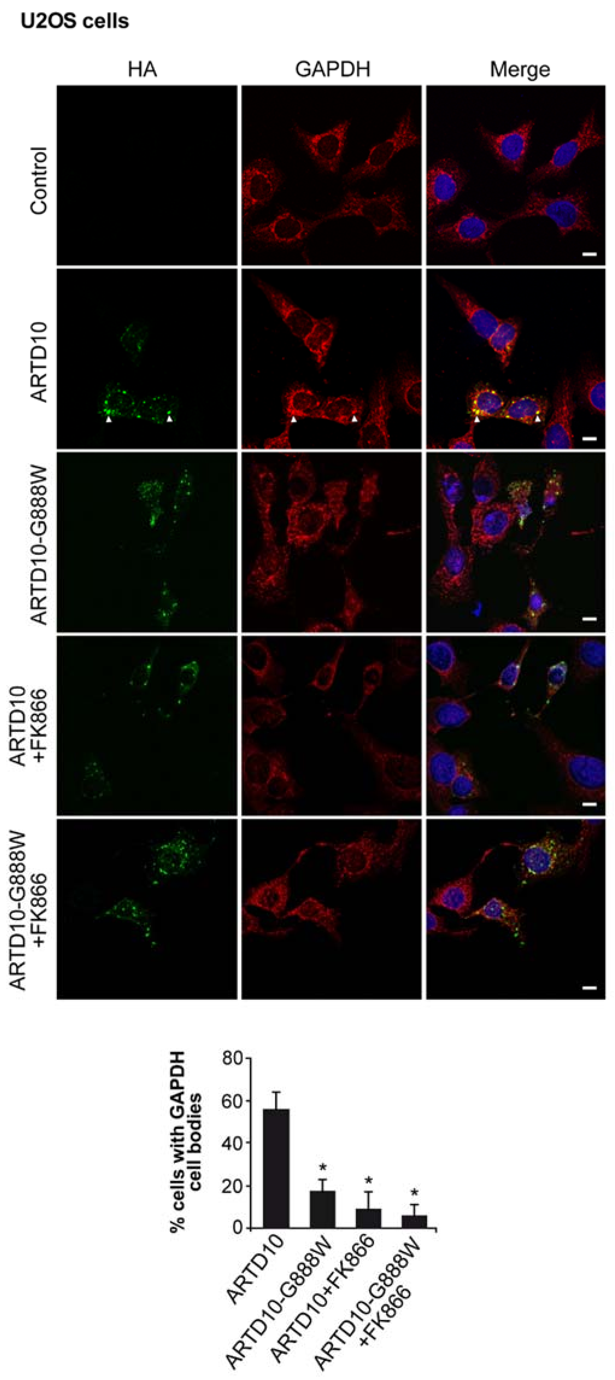 Challenges 09 00022 g005