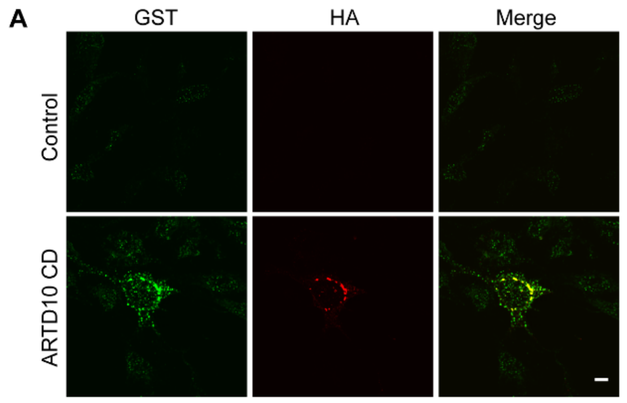 Challenges 09 00022 g006a