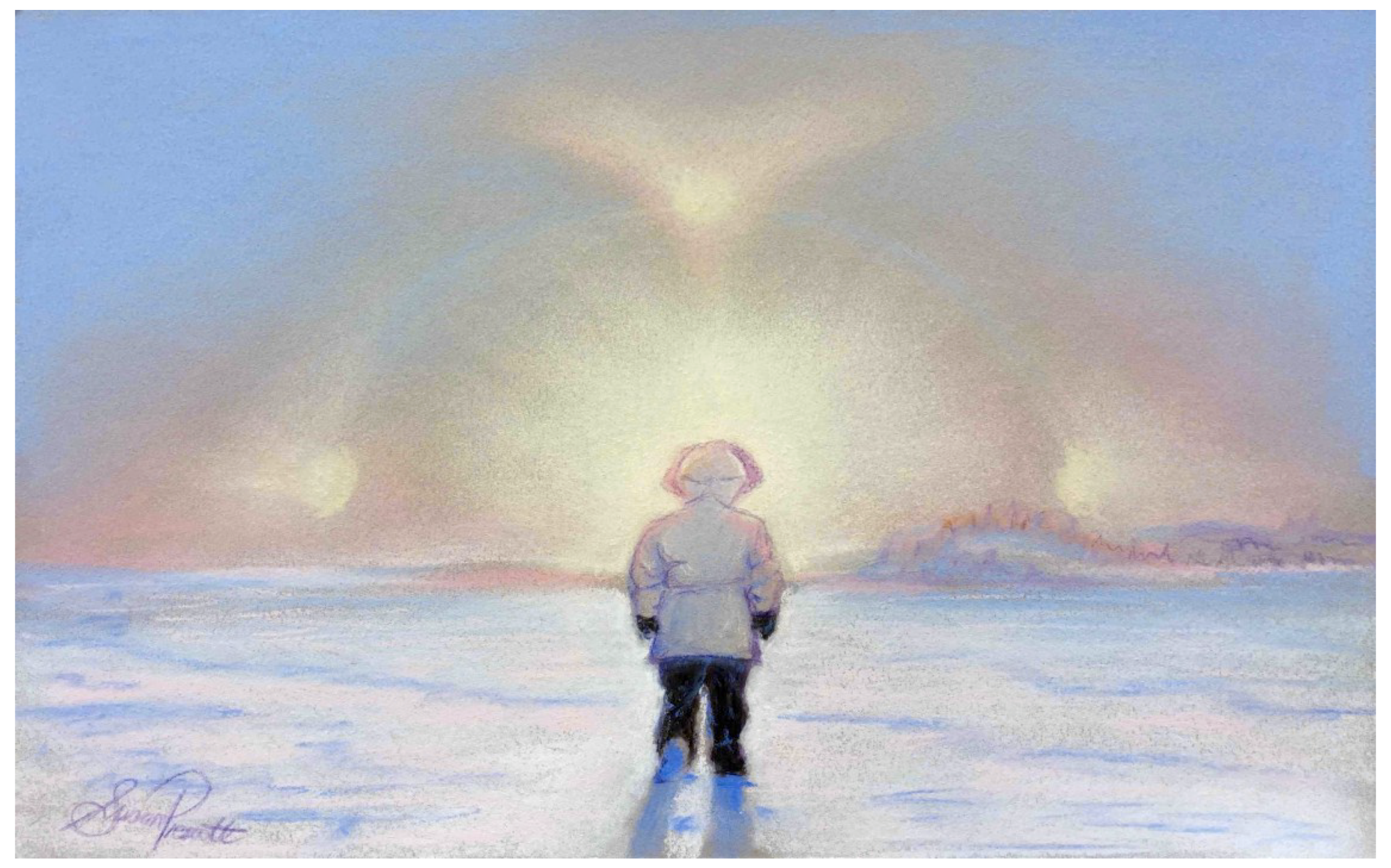 Challenges 09 00030 i003