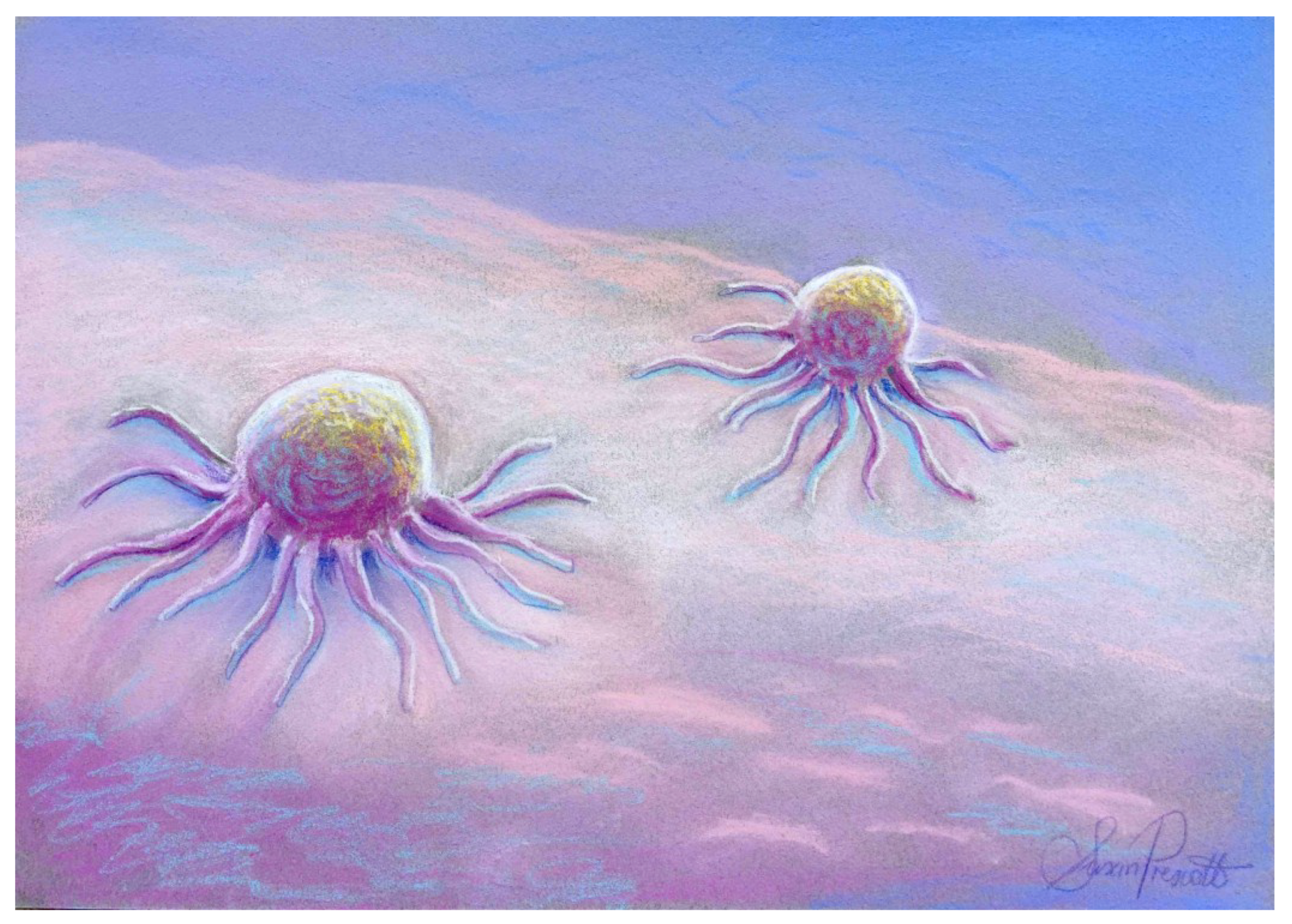 Challenges 09 00030 i005