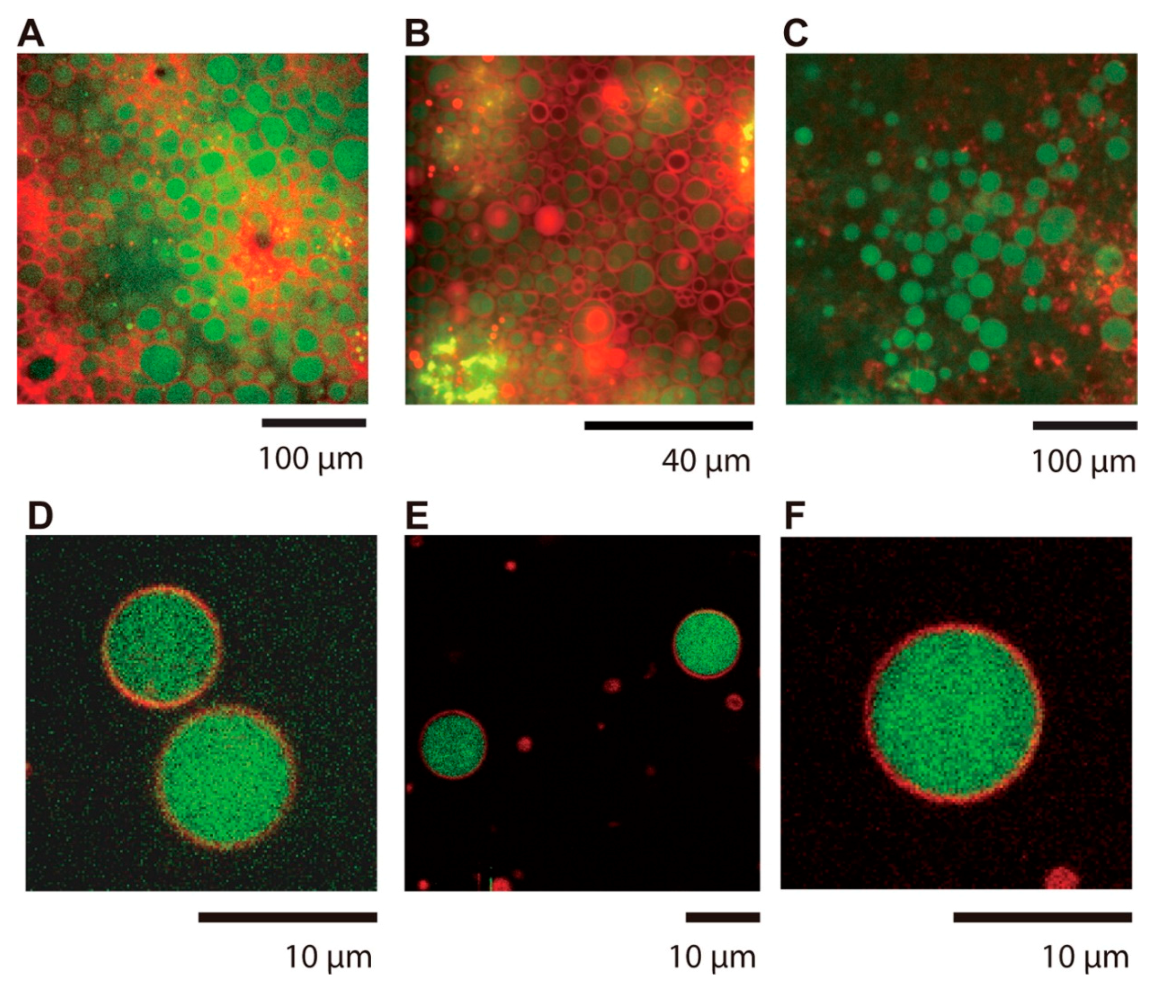 Challenges 10 00028 g003