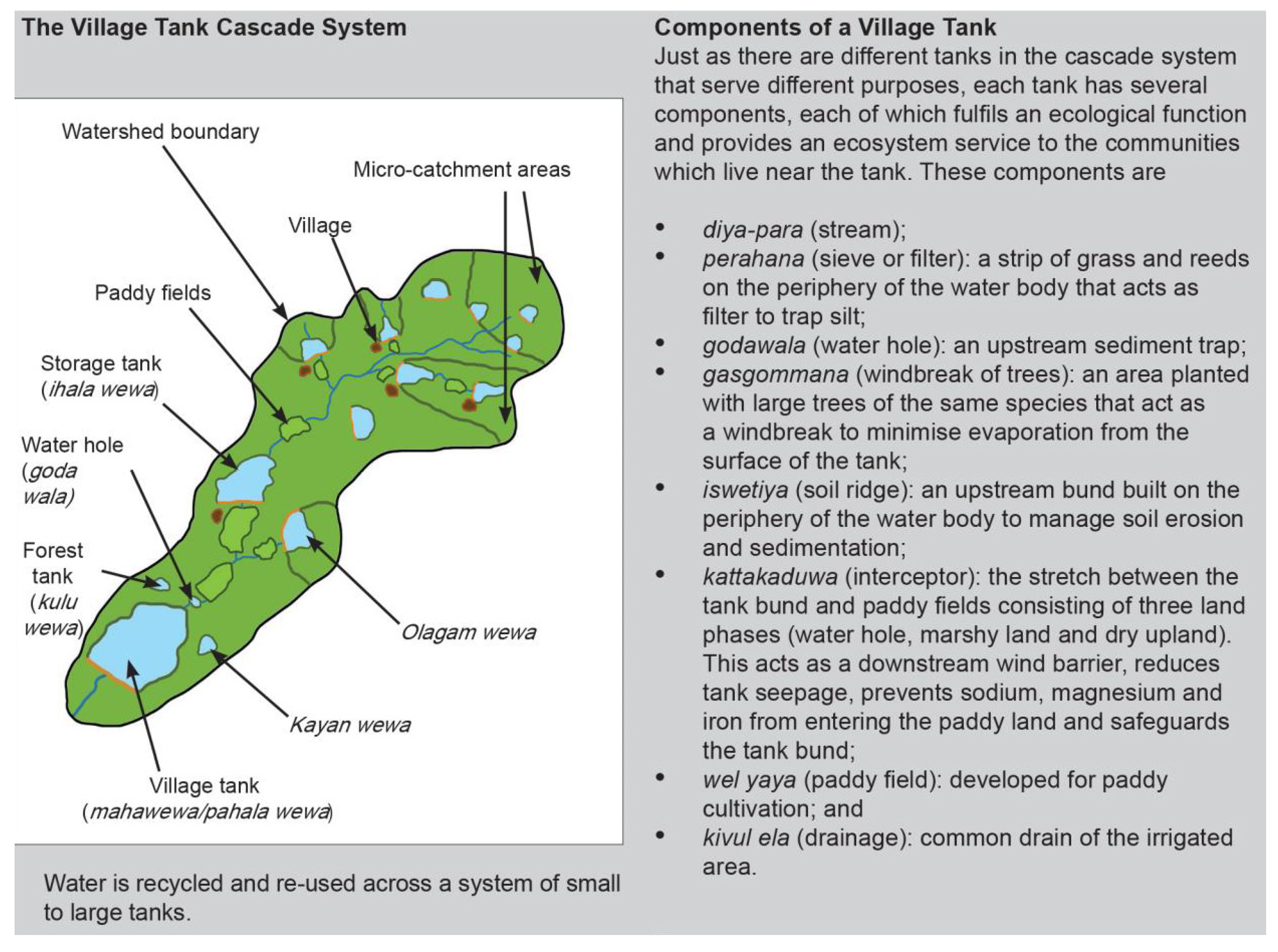 Challenges 11 00027 g001 Challenges 11 00027 g001