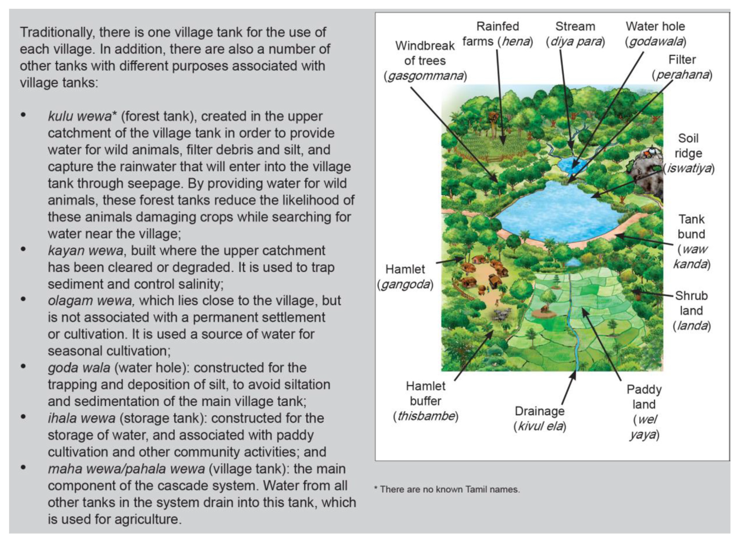 Challenges 11 00027 g002 Challenges 11 00027 g002
