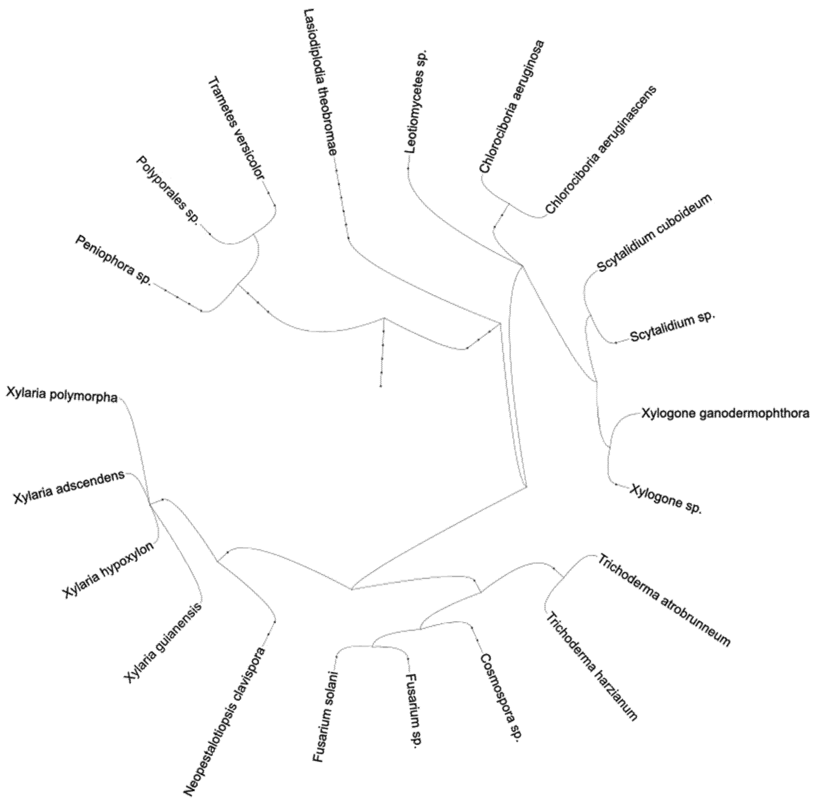 Challenges 11 00032 g001