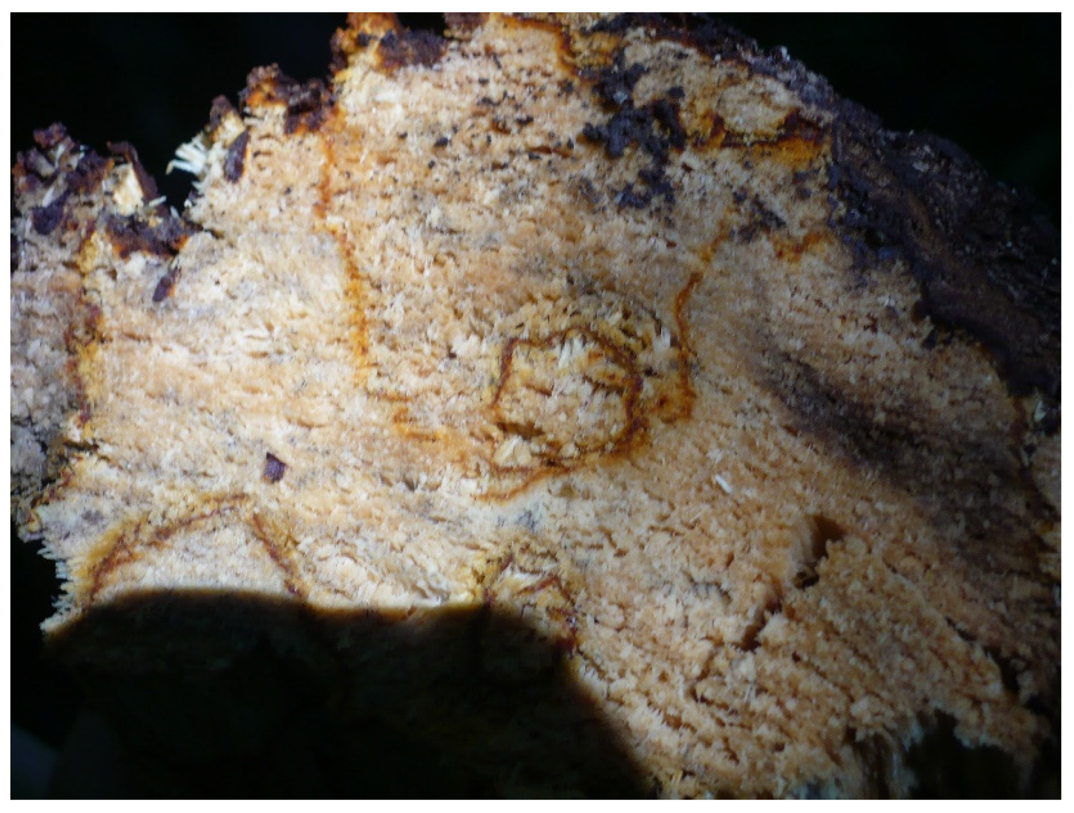 Challenges 11 00032 g002