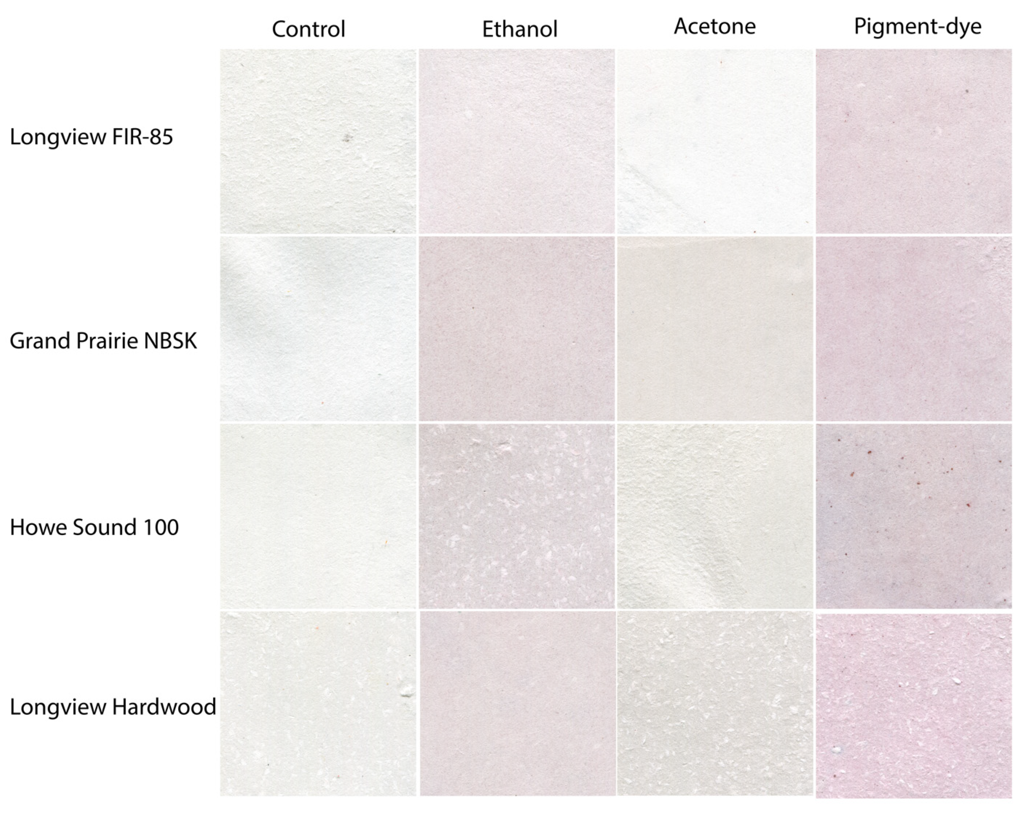 Challenges 13 00015 g001