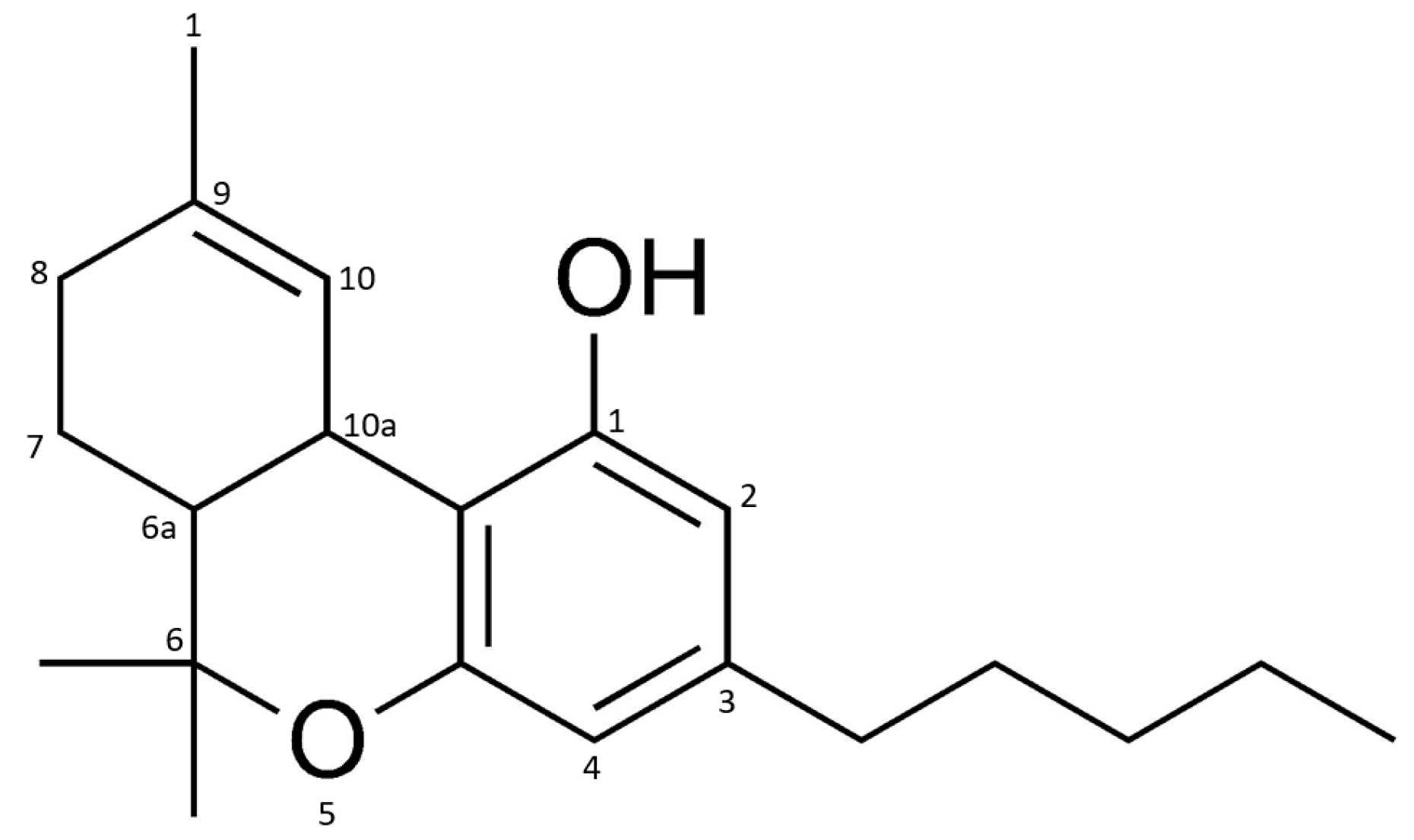 Challenges 13 00032 g001