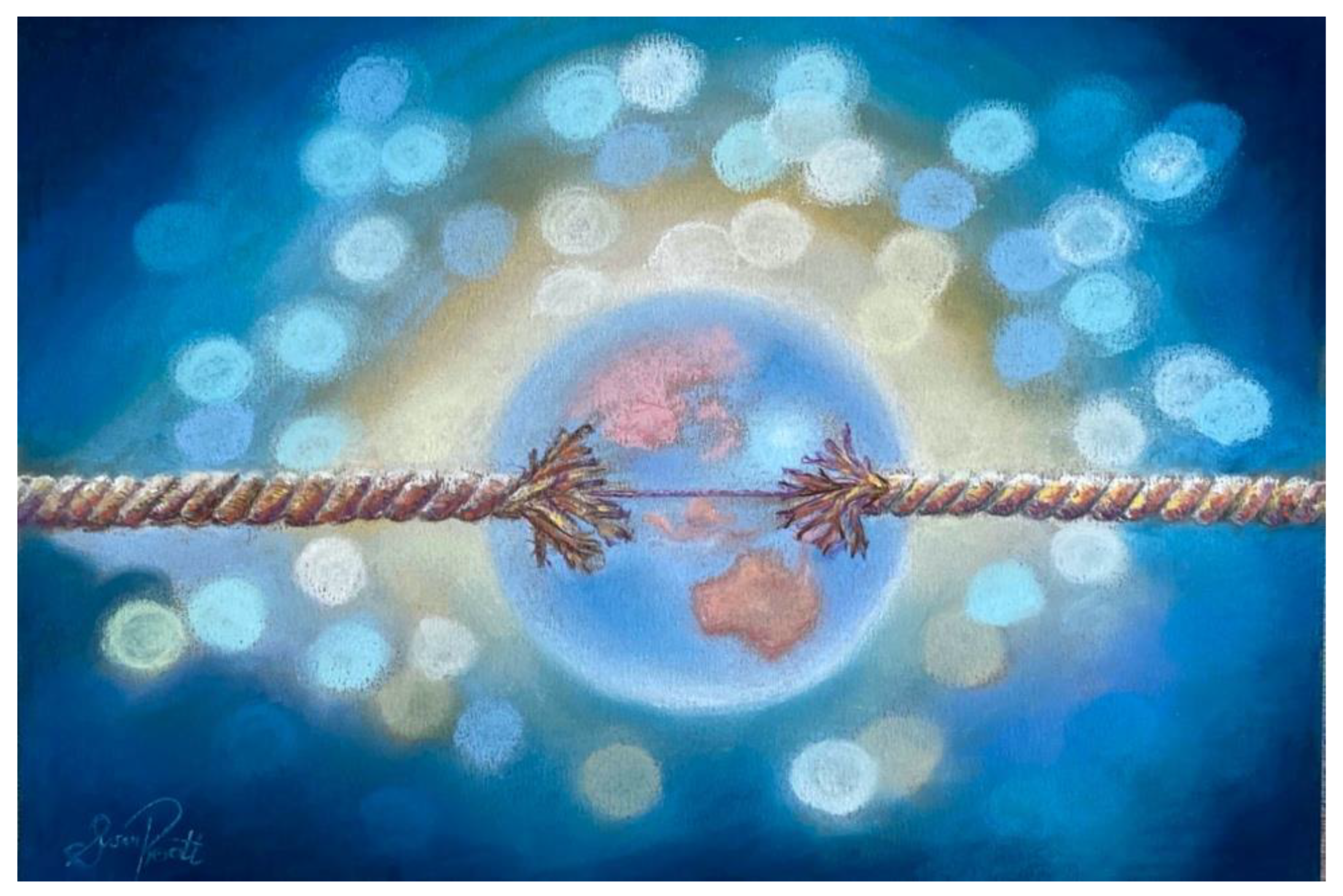 Challenges 13 00037 g002