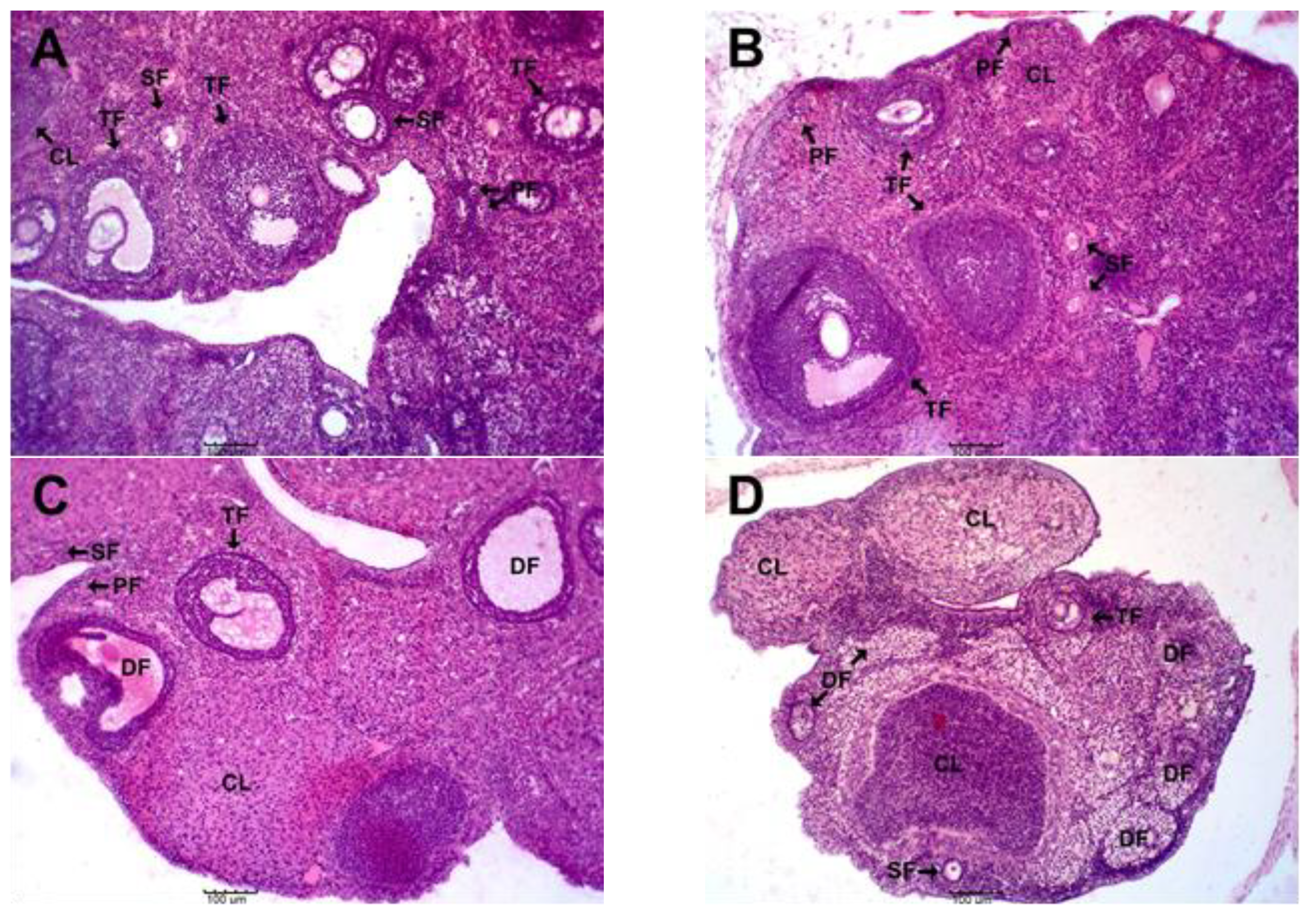 Challenges 13 00040 g007
