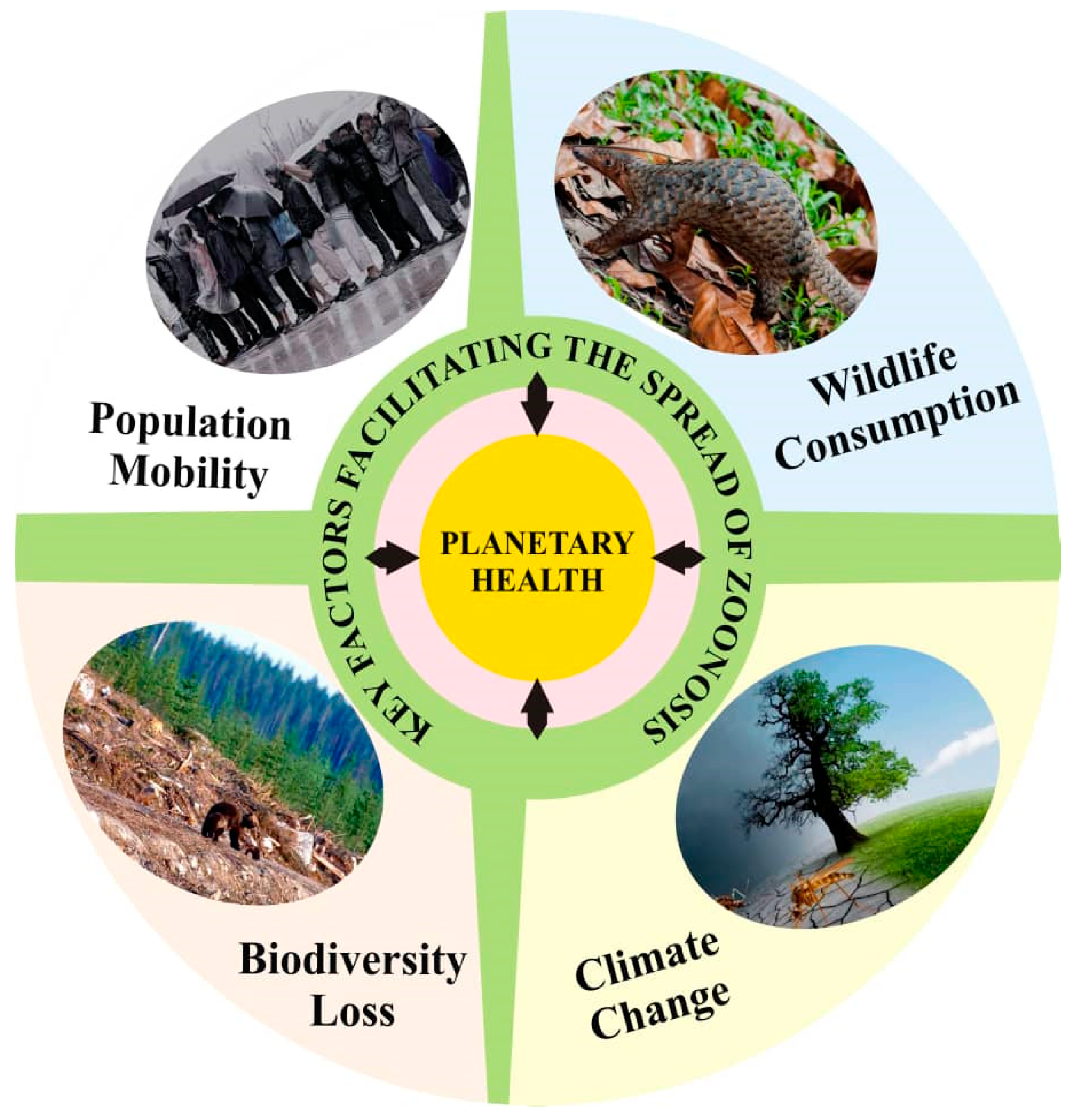 Challenges 13 00050 g002