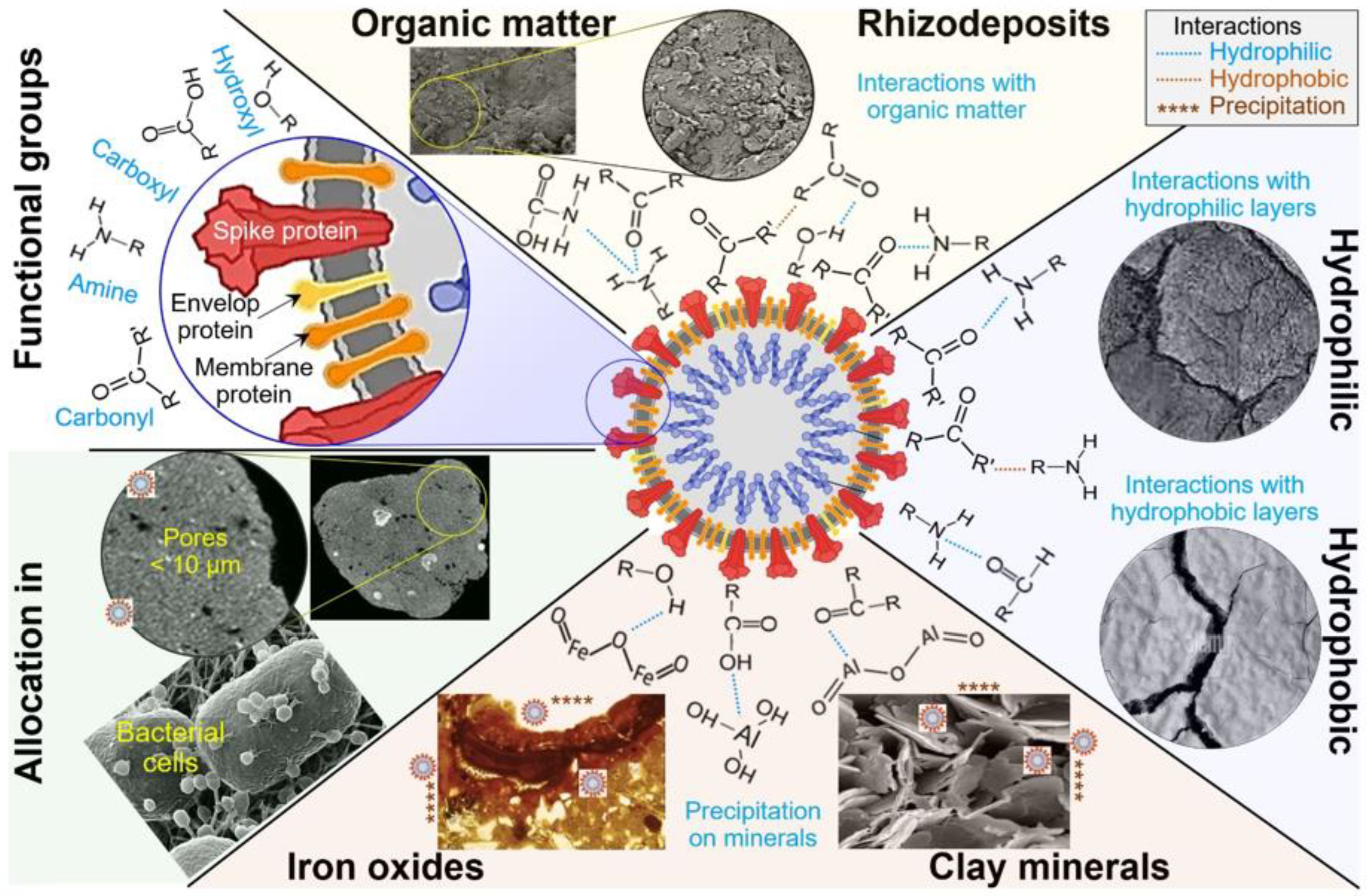 Challenges 13 00052 g002