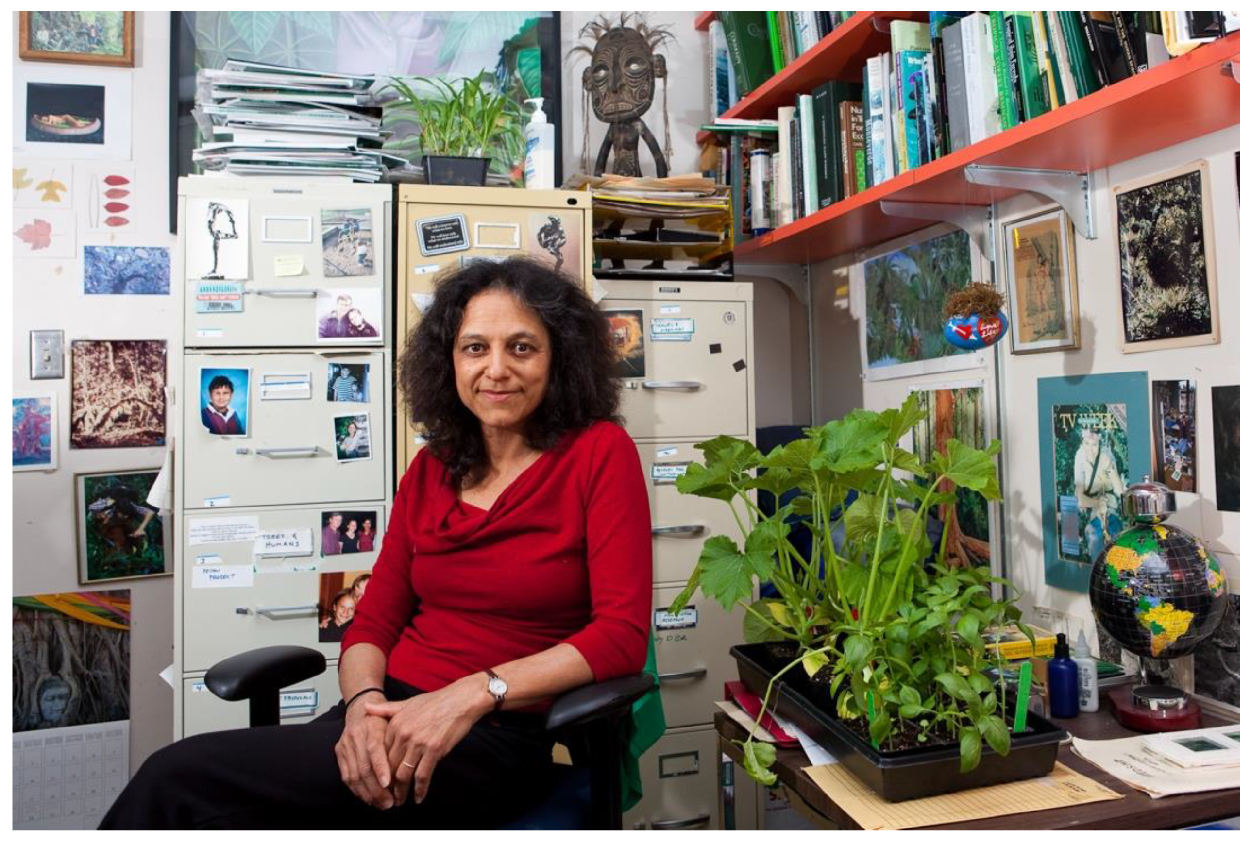 Challenges 13 00061 g001