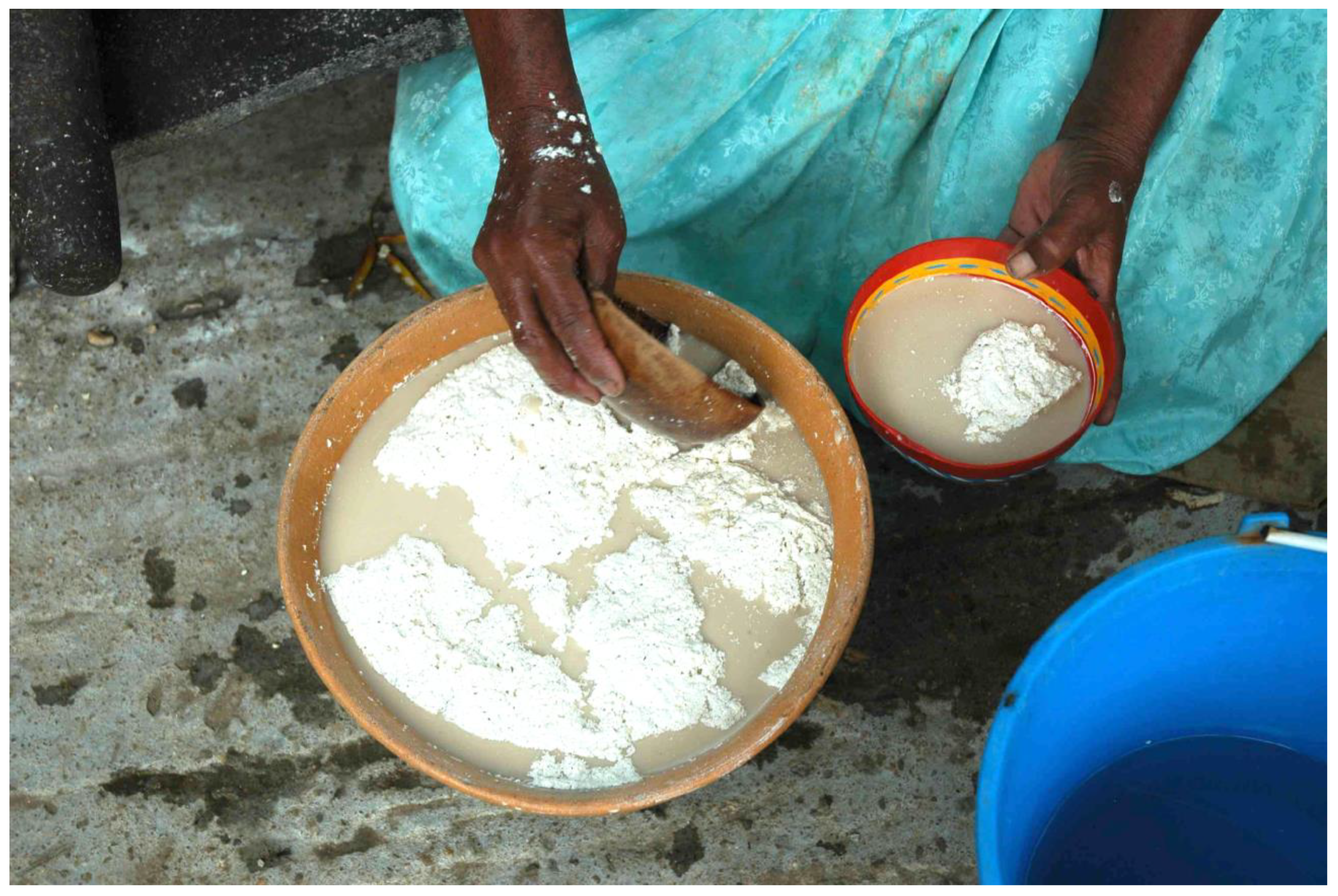 Challenges 14 00009 g001