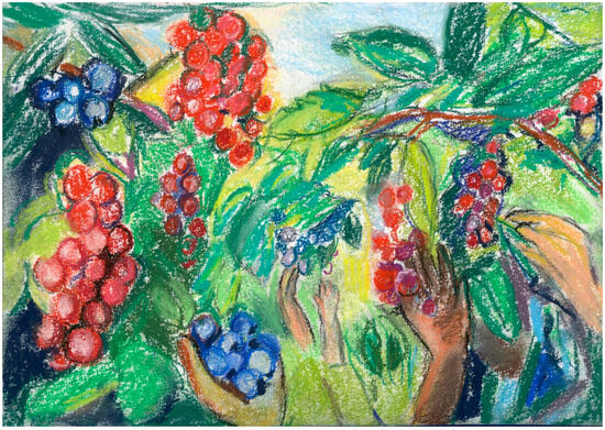 Challenges 14 00049 g003