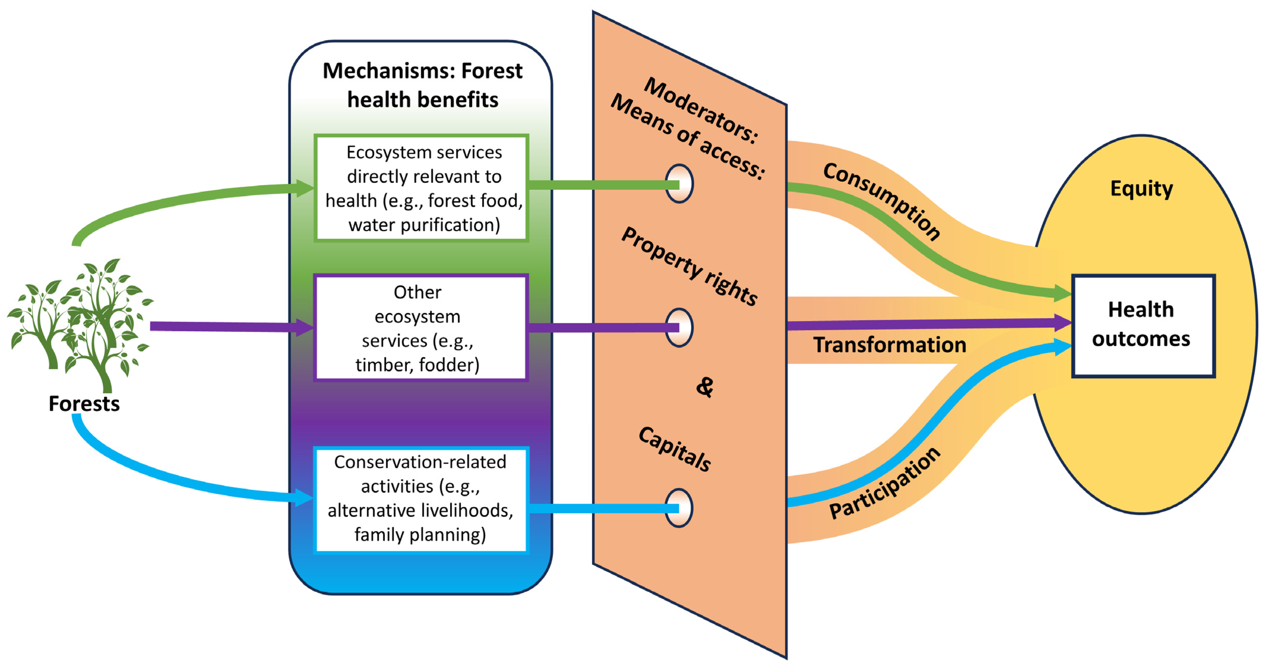 Challenges 15 00012 g002