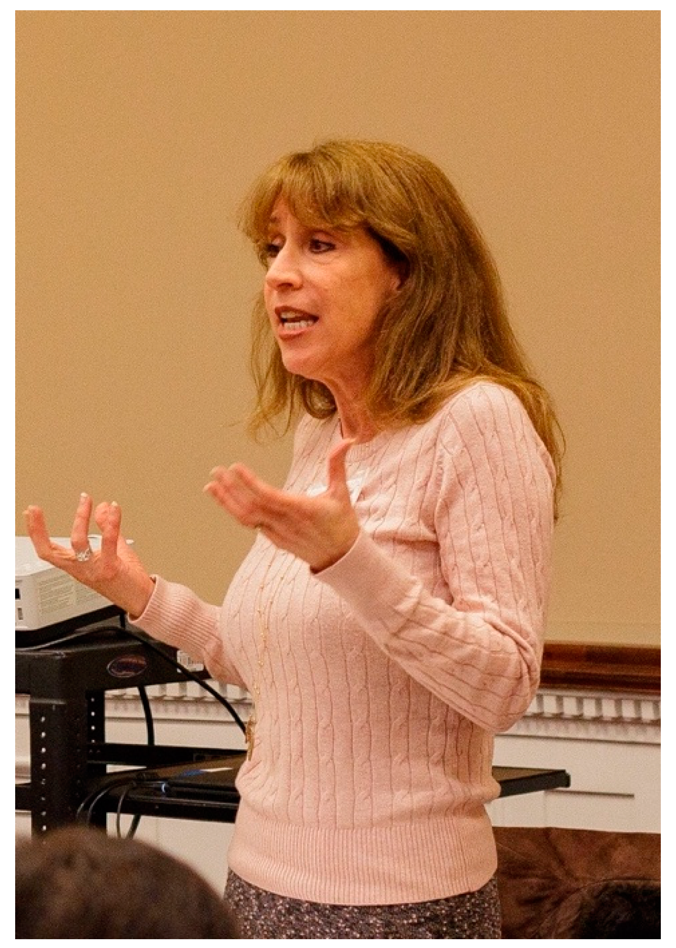 Challenges 15 00018 g003