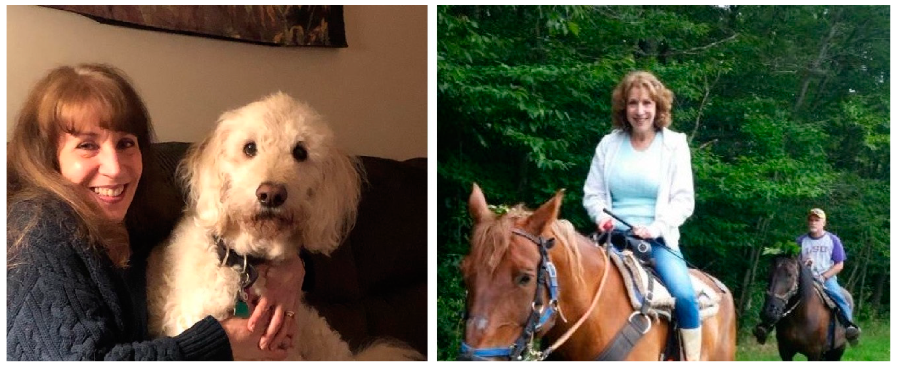 Challenges 15 00018 g004