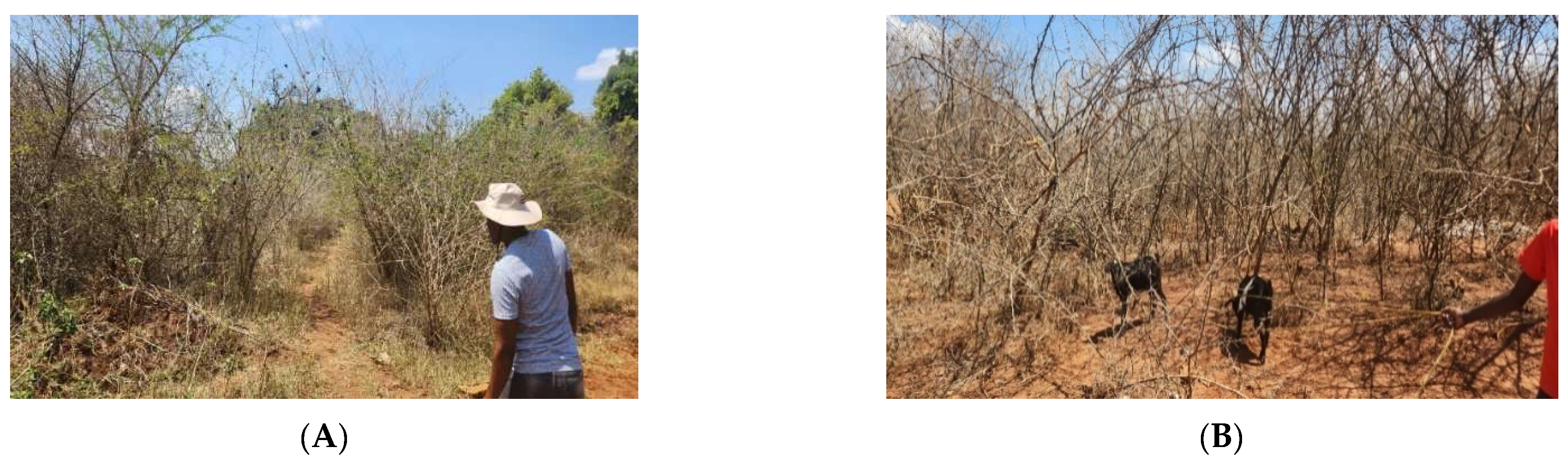 Challenges 15 00033 g002