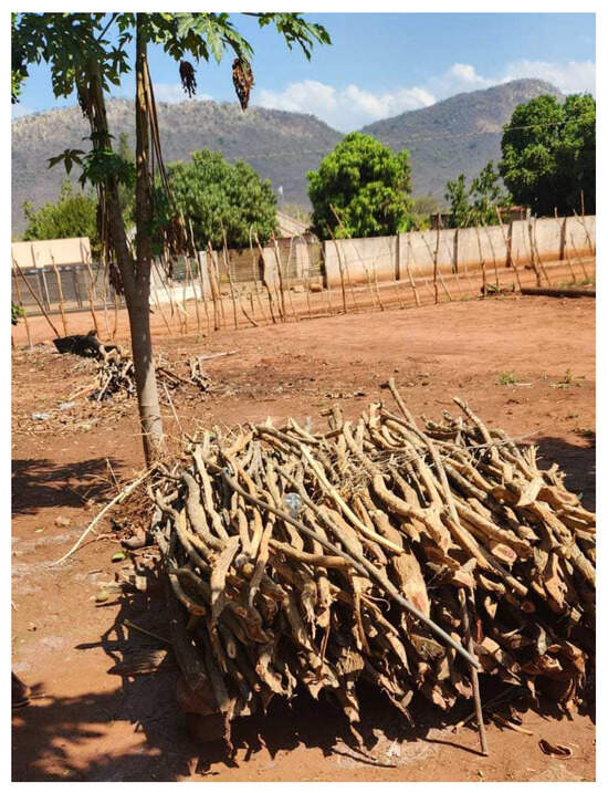 Challenges 15 00033 g0a1